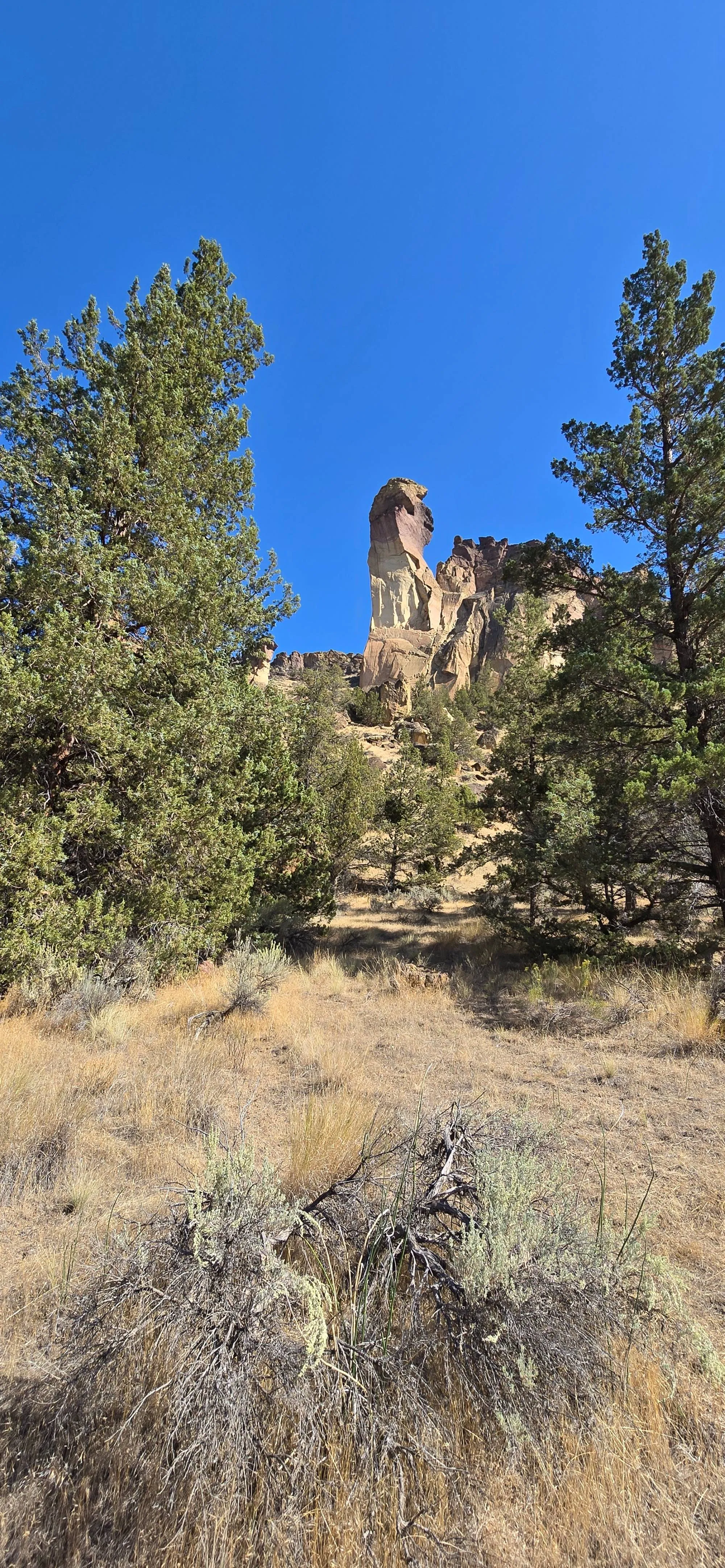 Smith Rock State Park Canyon Trail