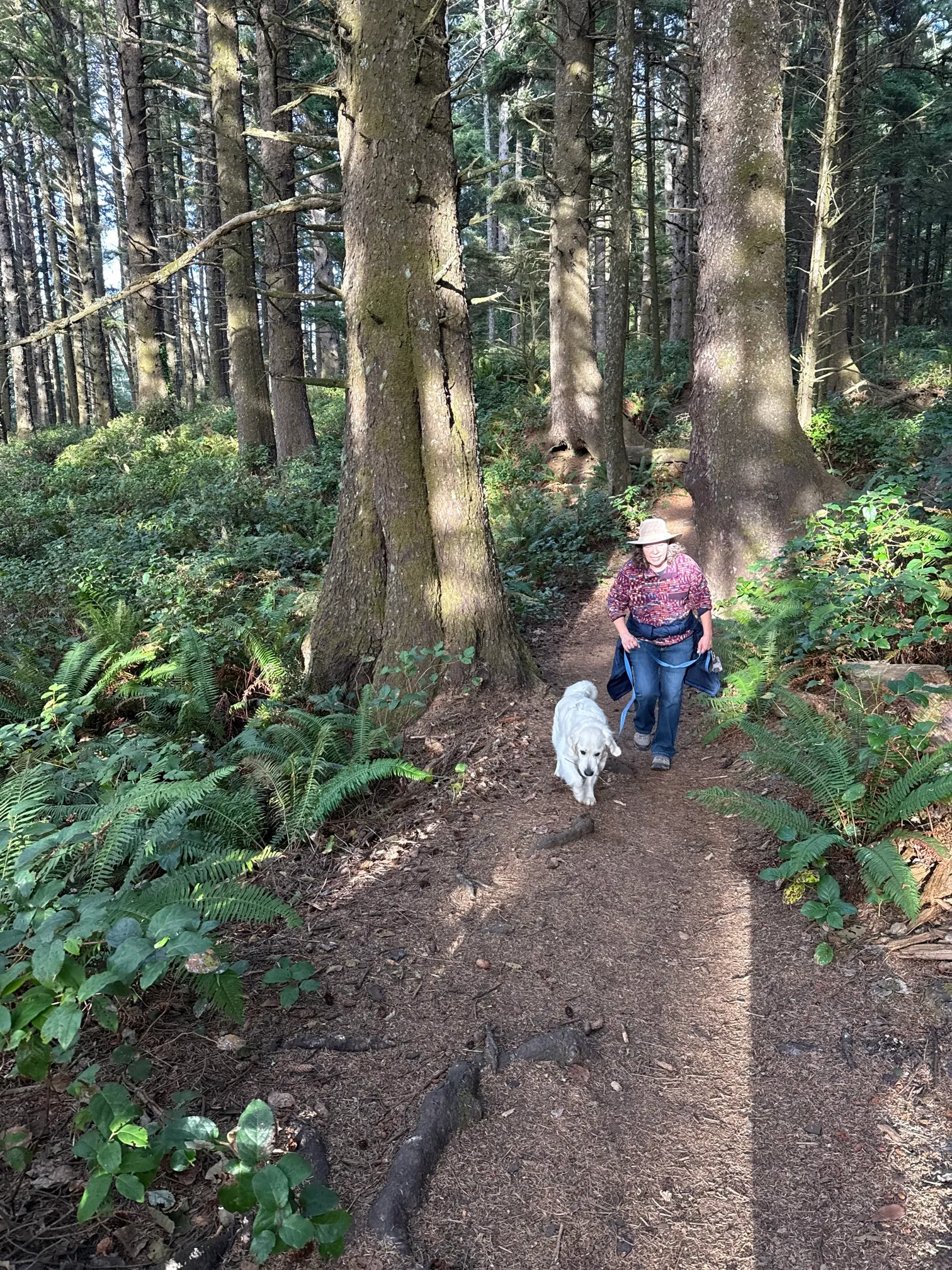Crescent Beach Trail