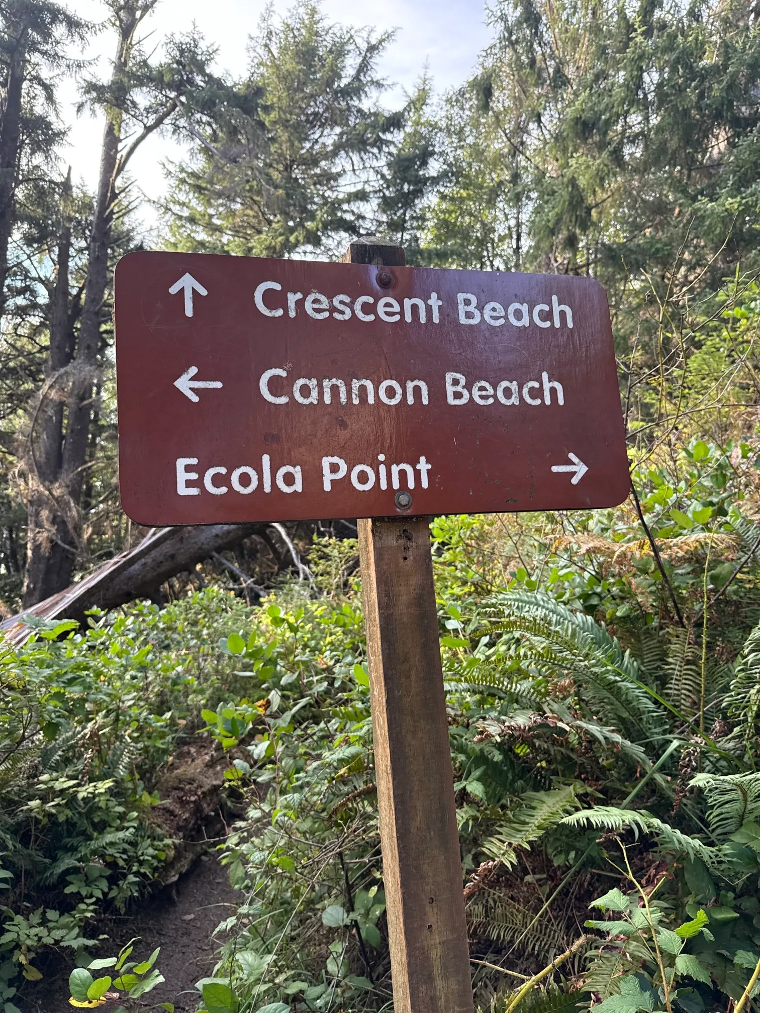 Crescent Beach Trail