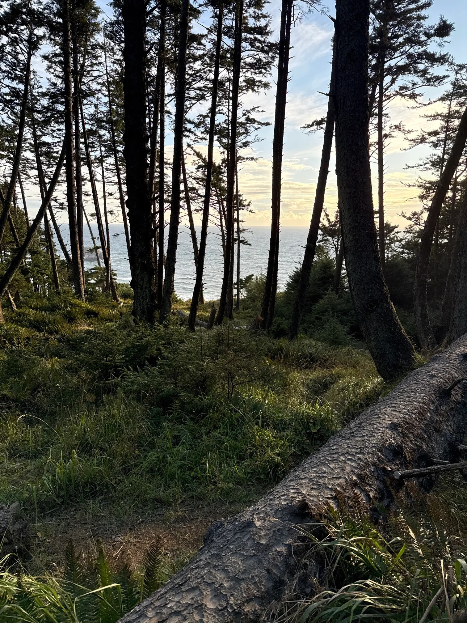 Crescent Beach Trail