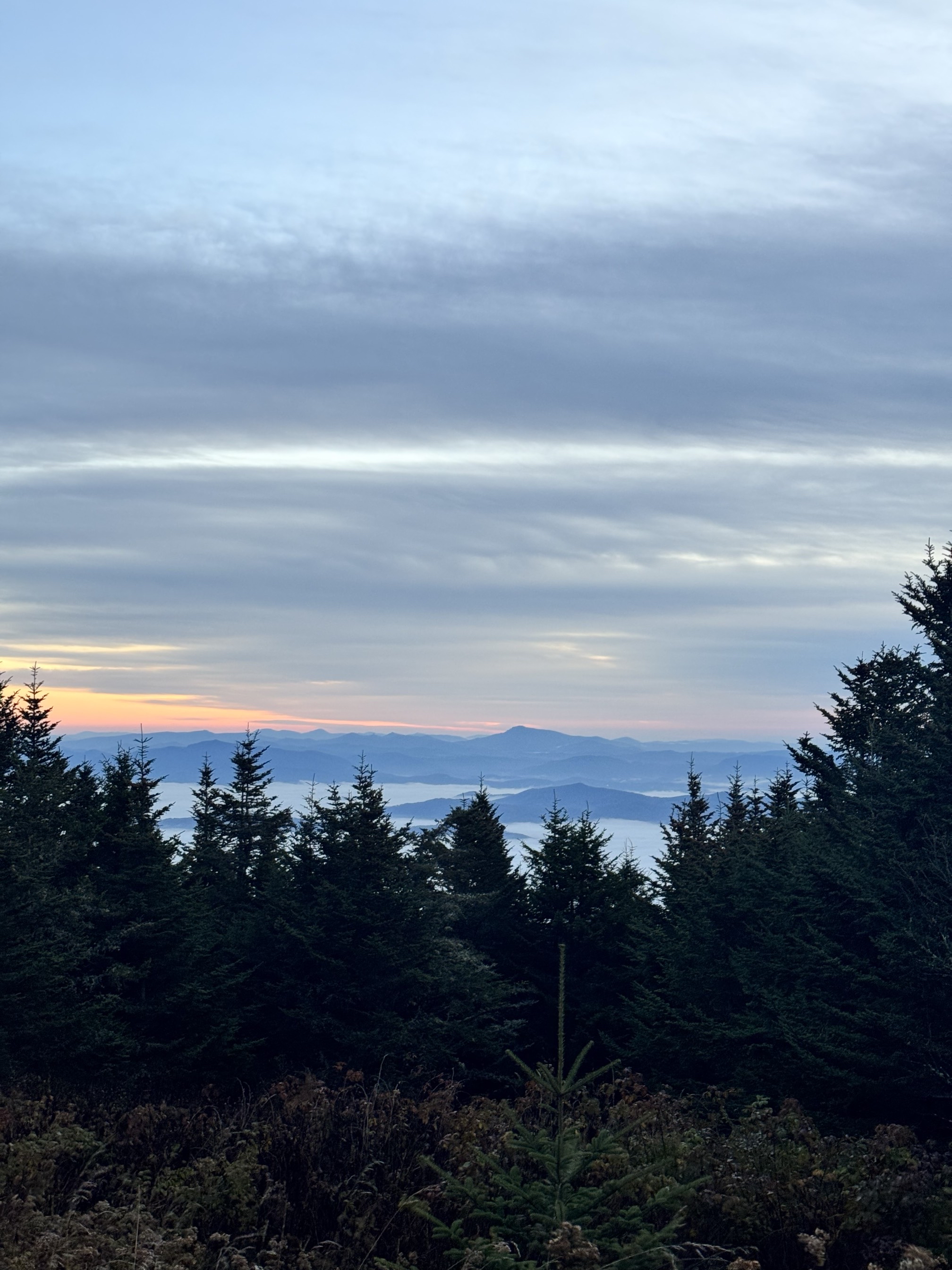 Sam Knob Trail