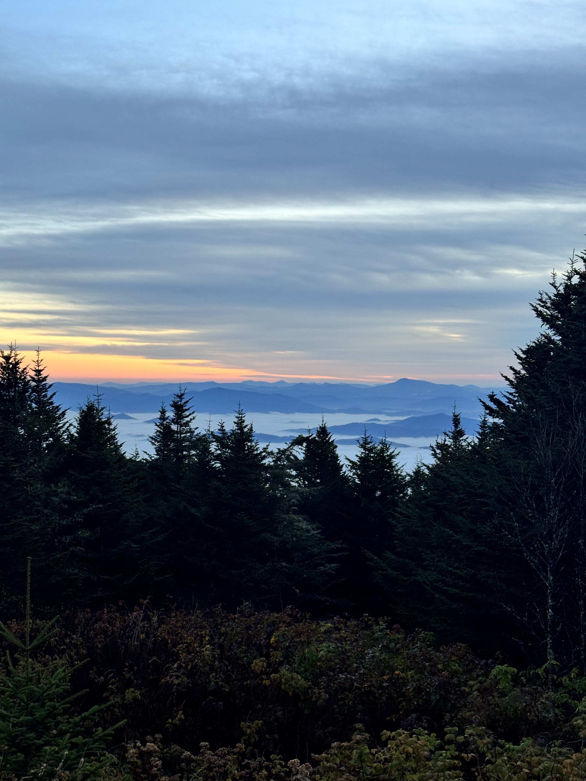 Sam Knob Trail