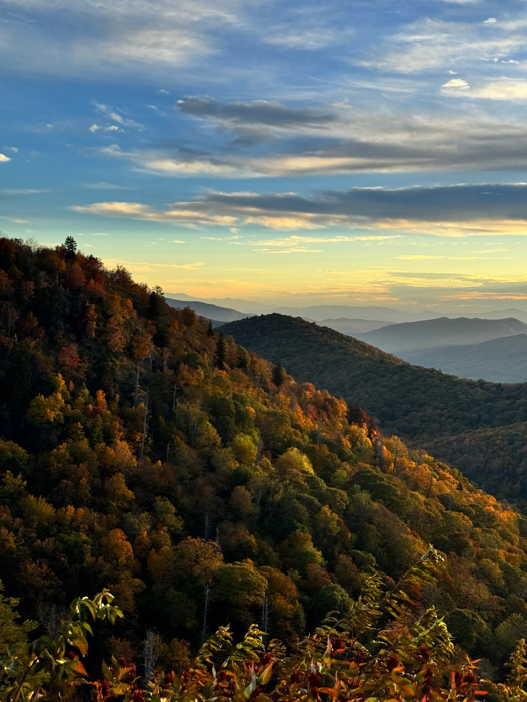 East Fork Overlook