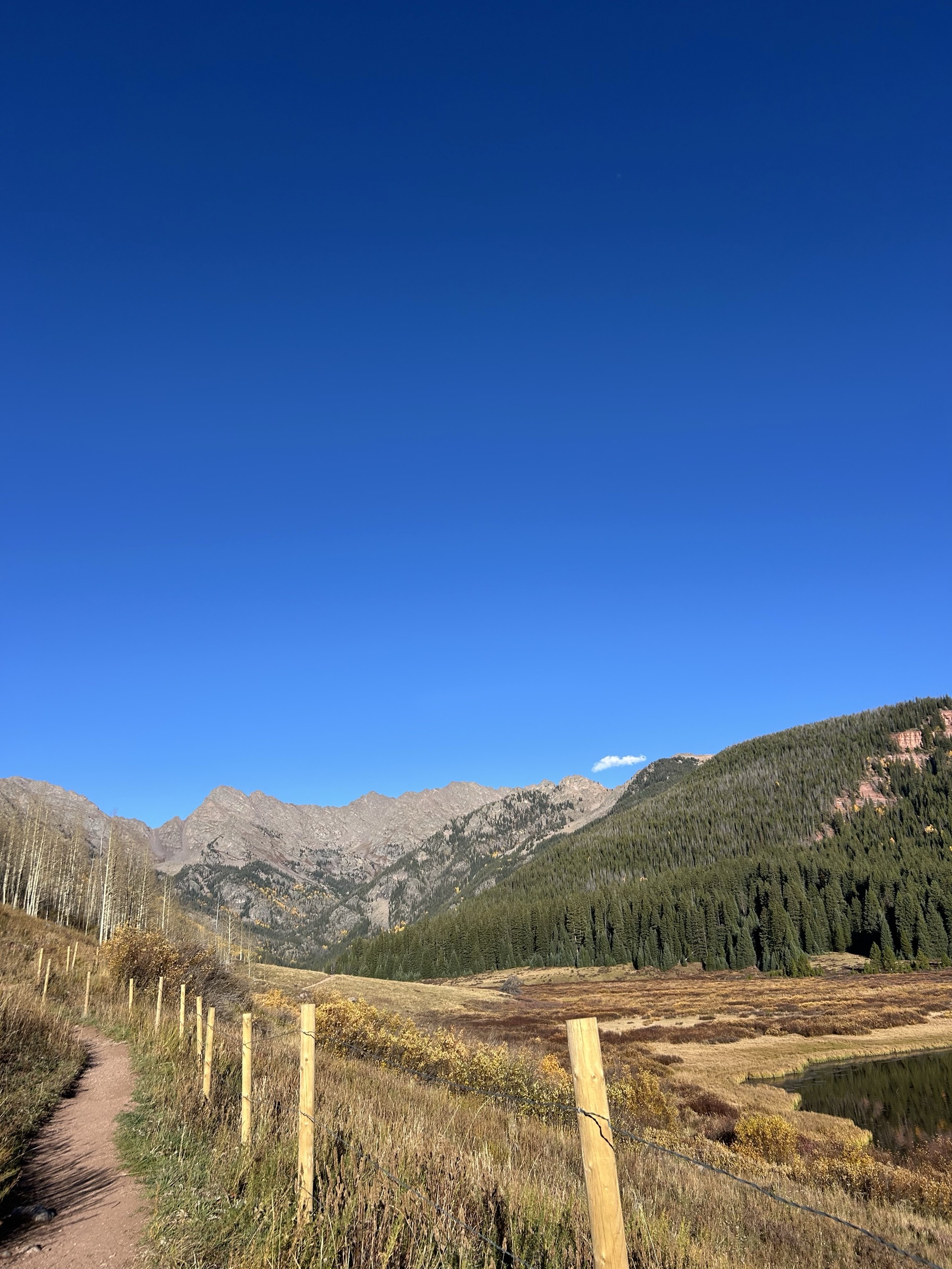 Hike the Upper Piney River Trail