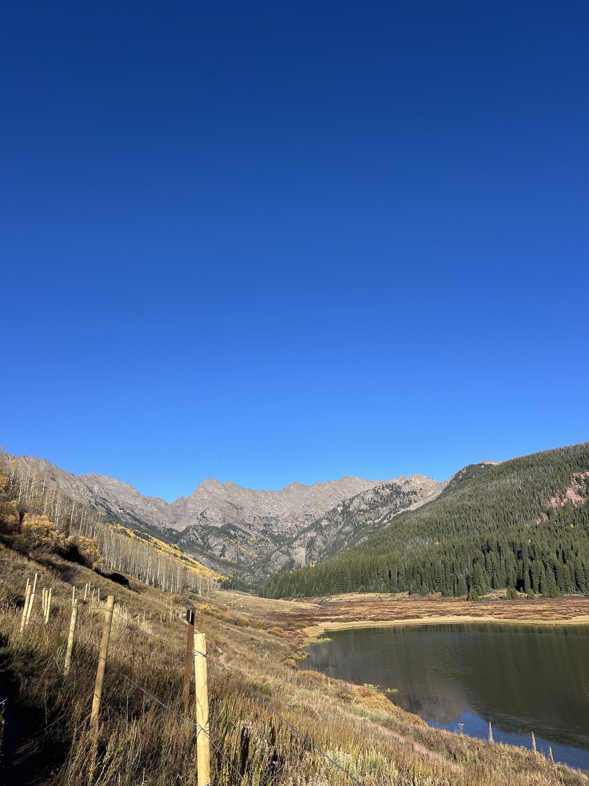 Hike the Upper Piney River Trail
