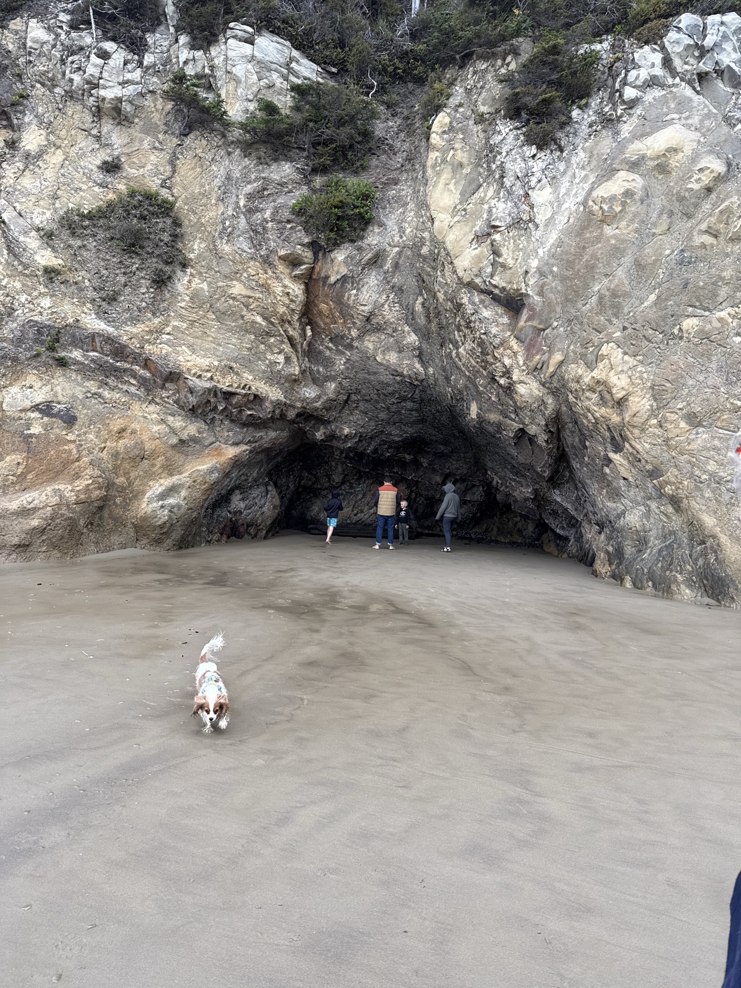 Hug Point Waterfall and Cave