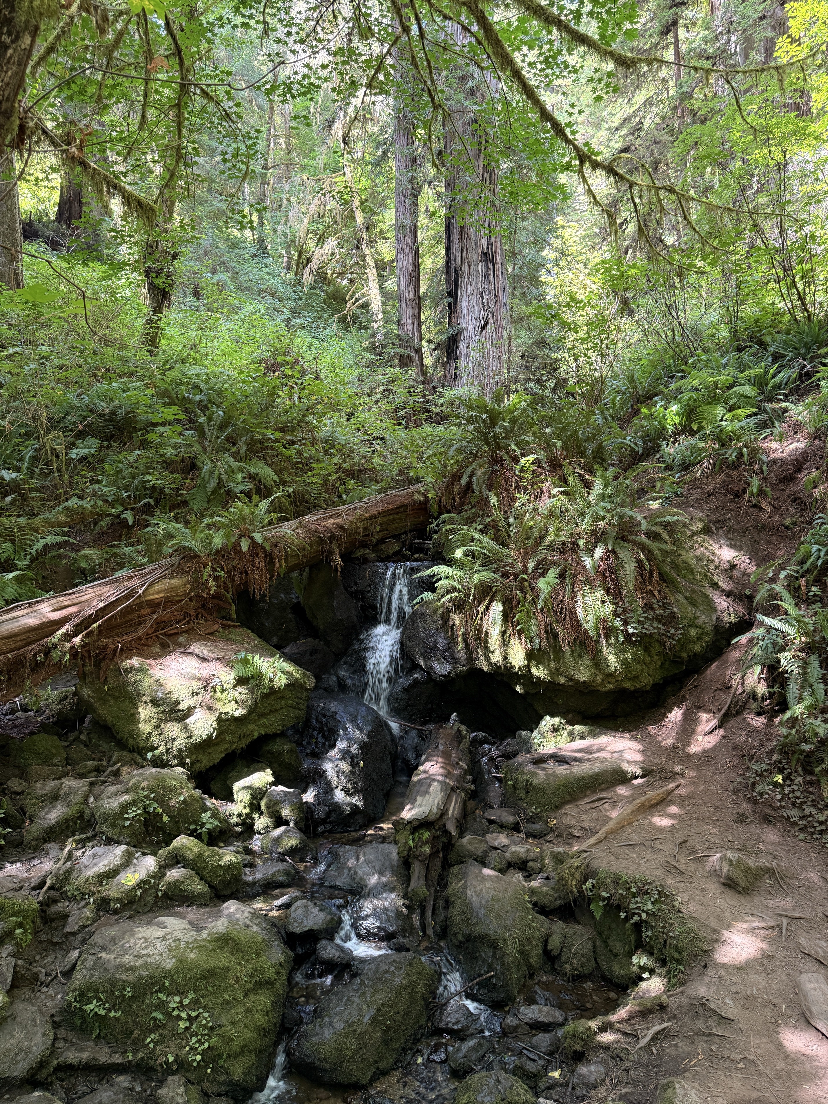 Trillium Falls
