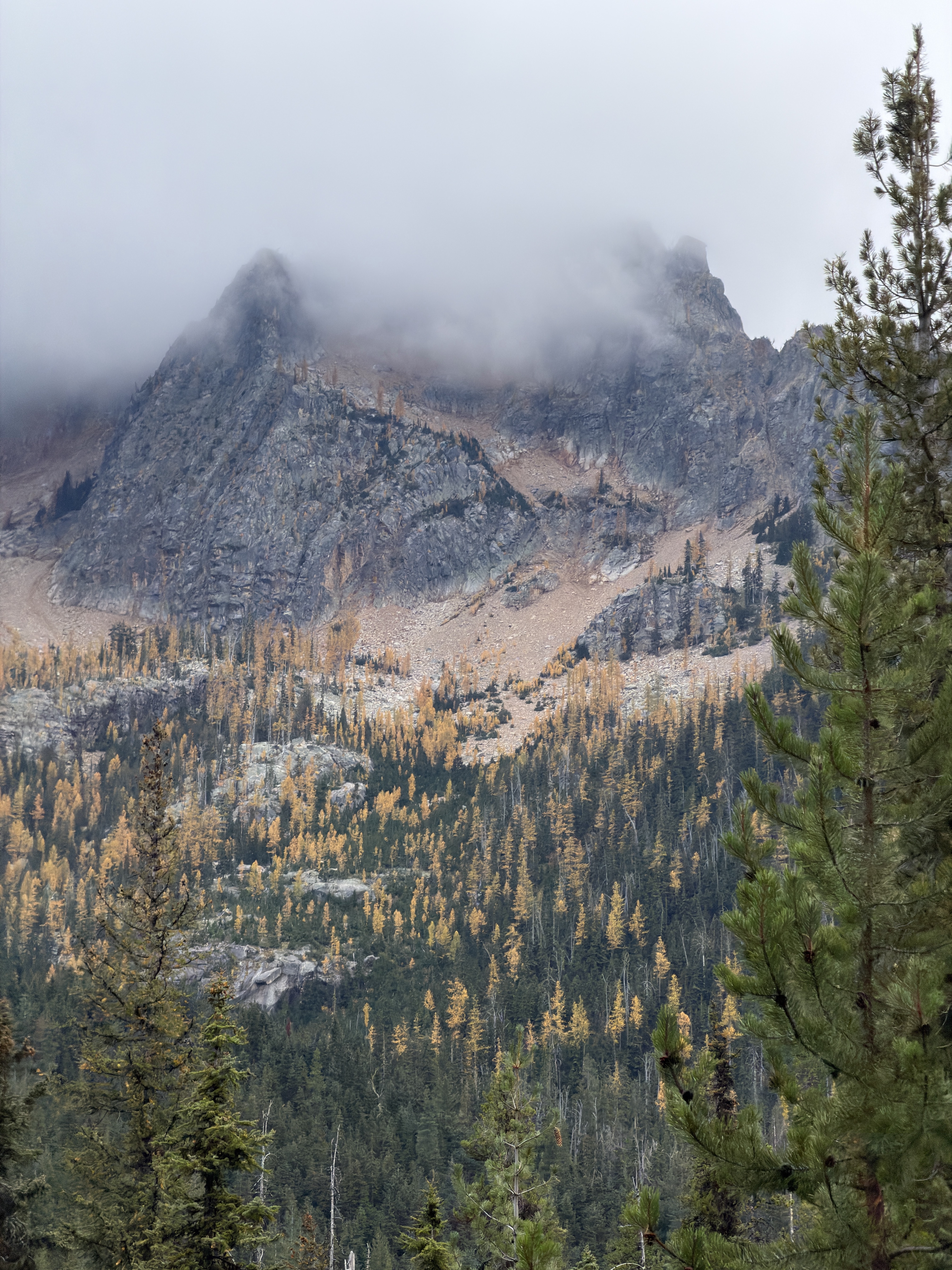 Cutthroat Pass via Cutthroat Trail