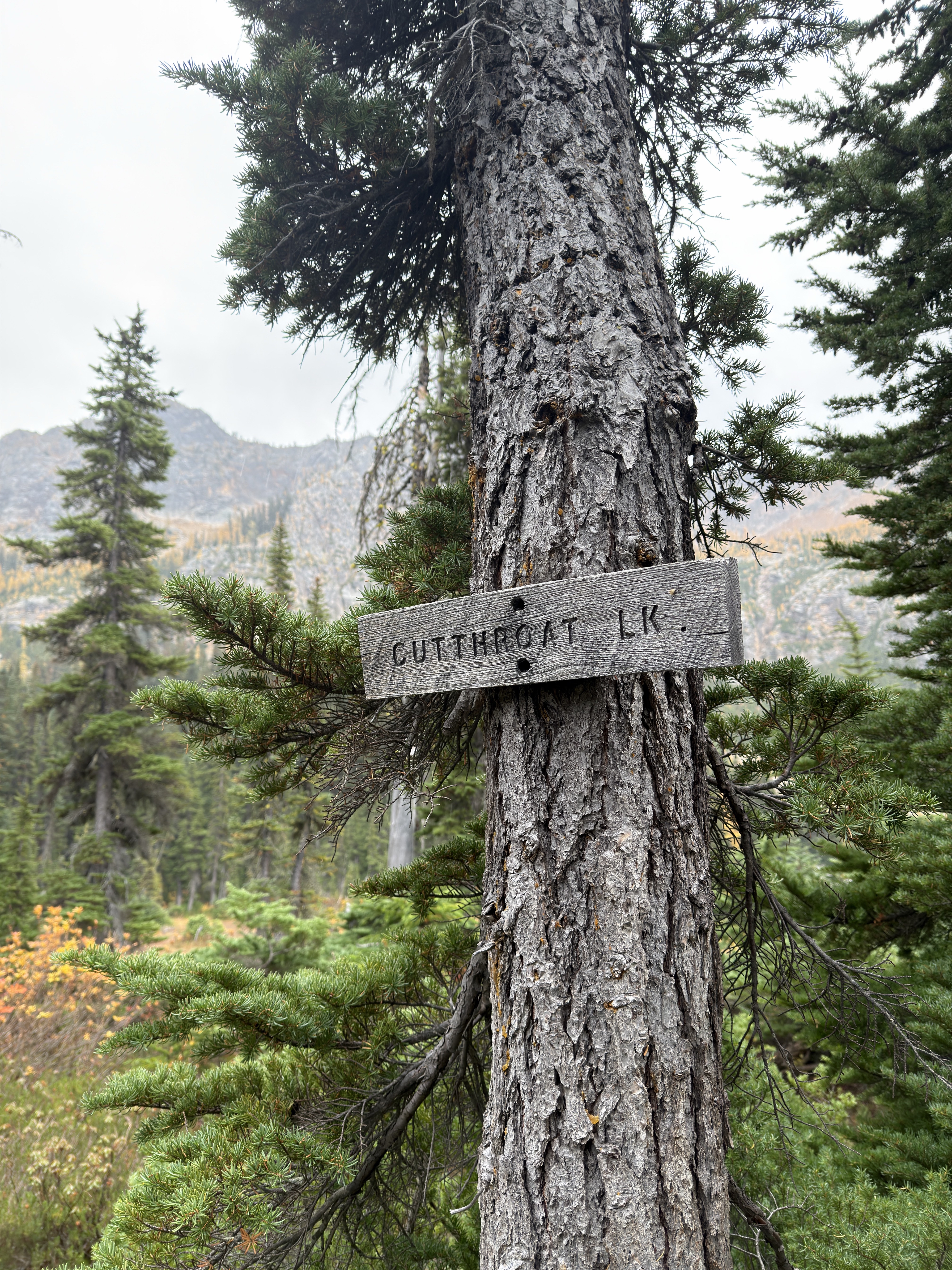 Cutthroat Pass via Cutthroat Trail