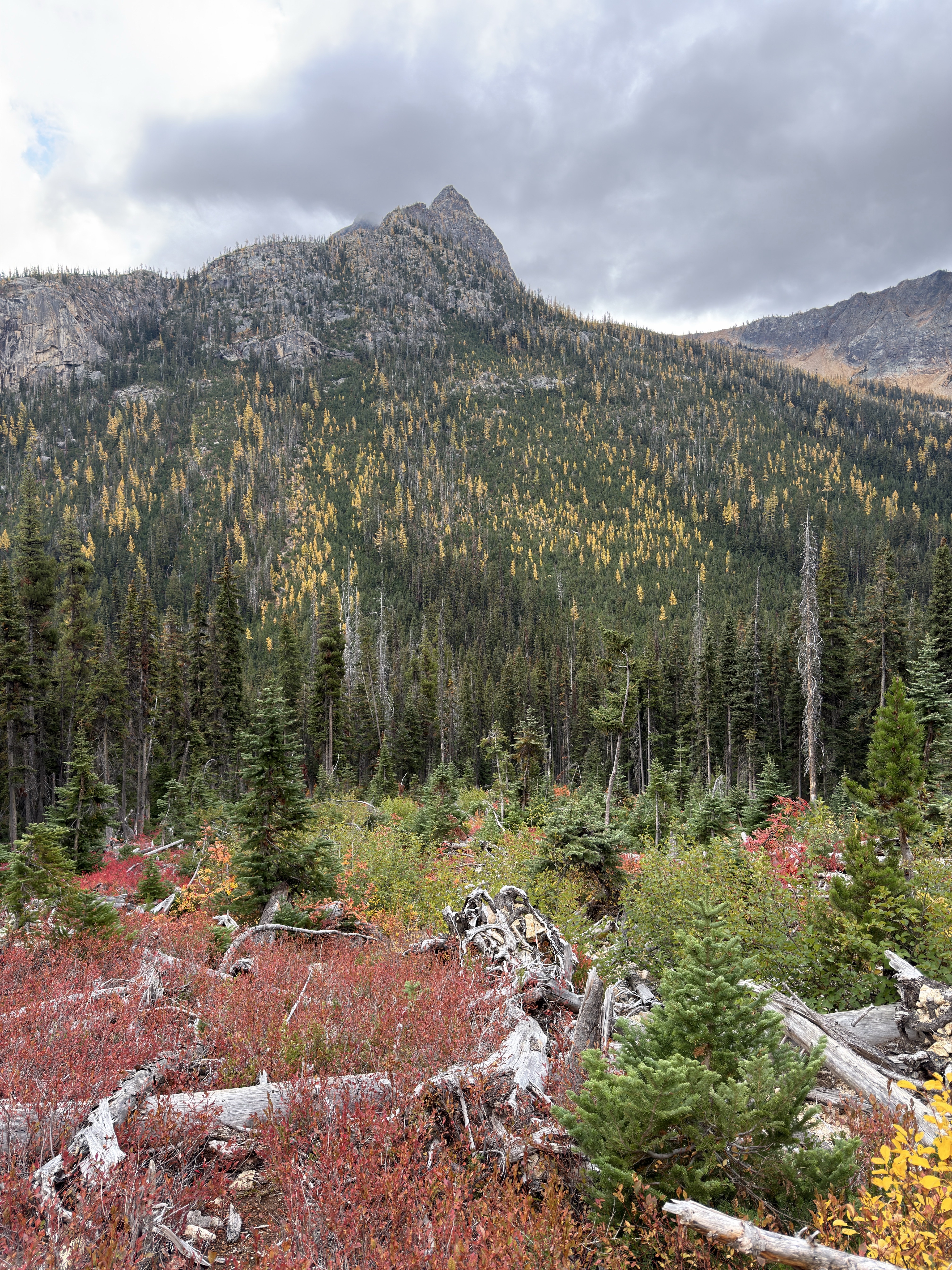 Cutthroat Pass via Cutthroat Trail