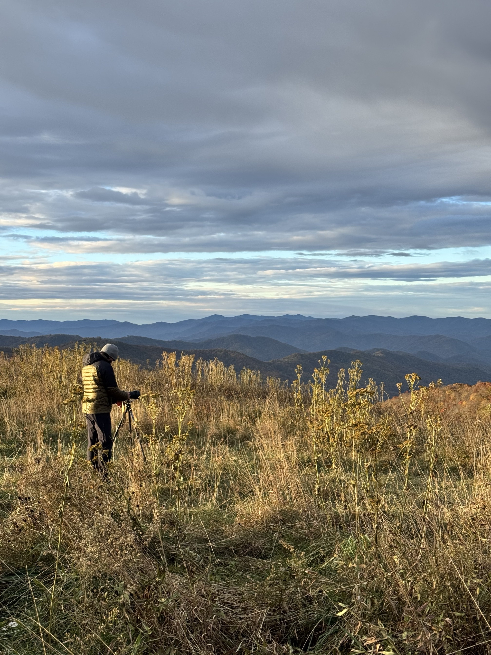 Max Patch Mountain