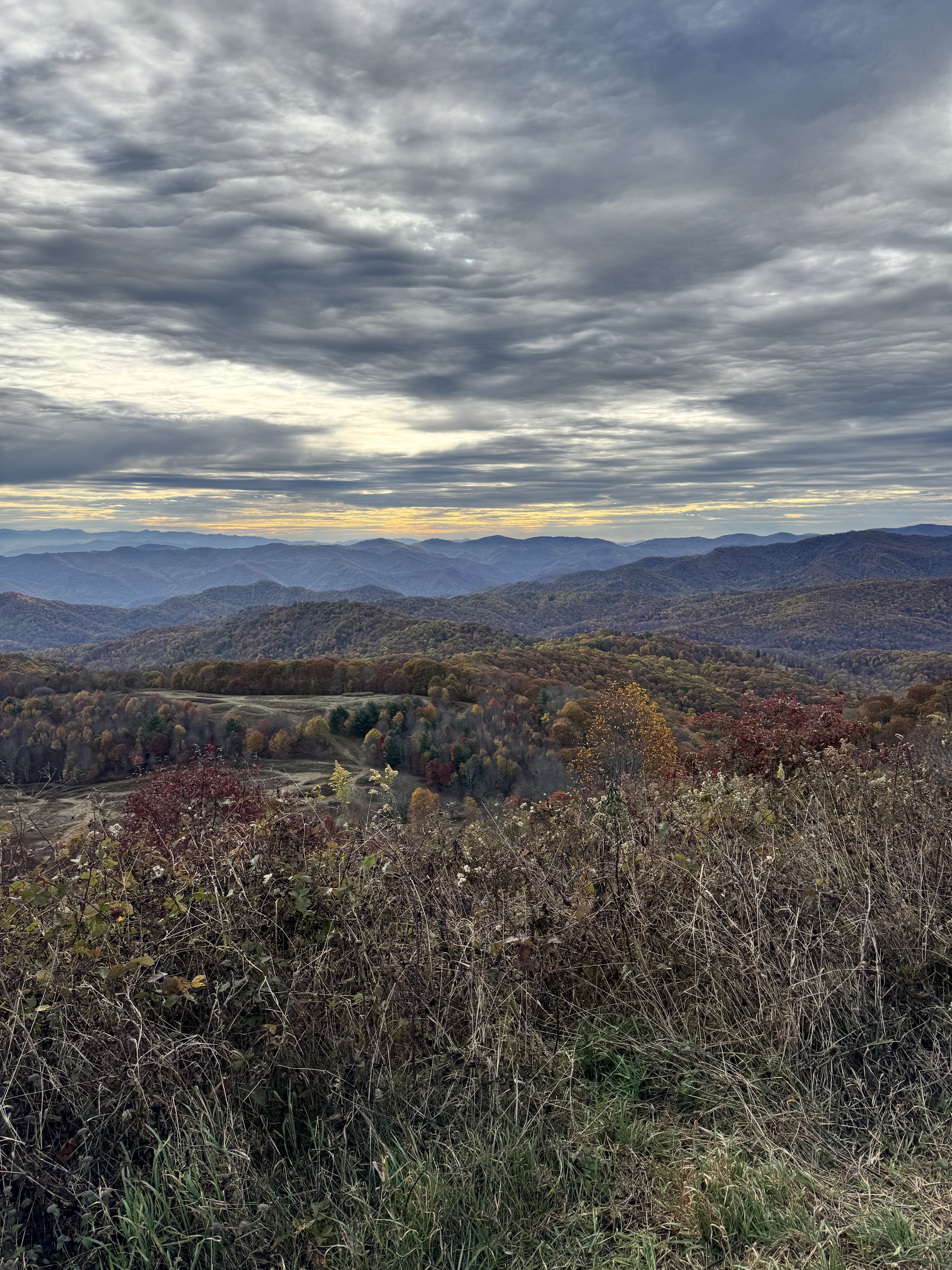Max Patch Mountain
