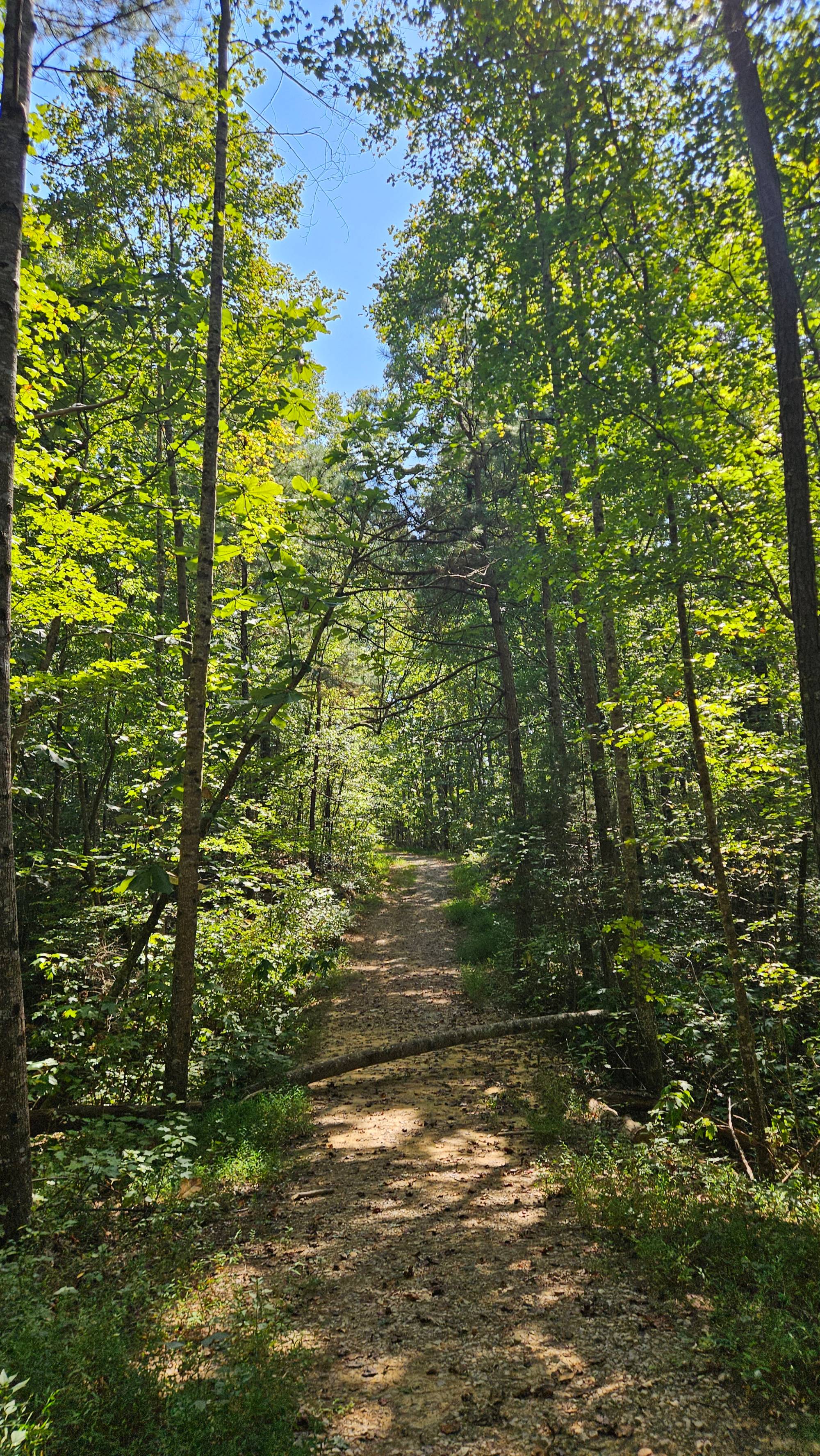 Hike to Upper Caney Creek Falls