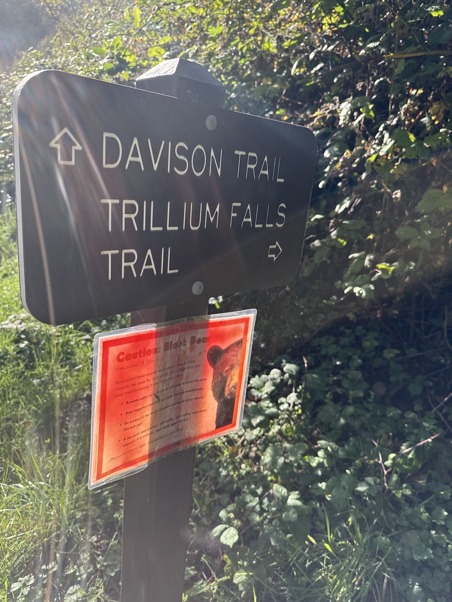 Trillium Falls