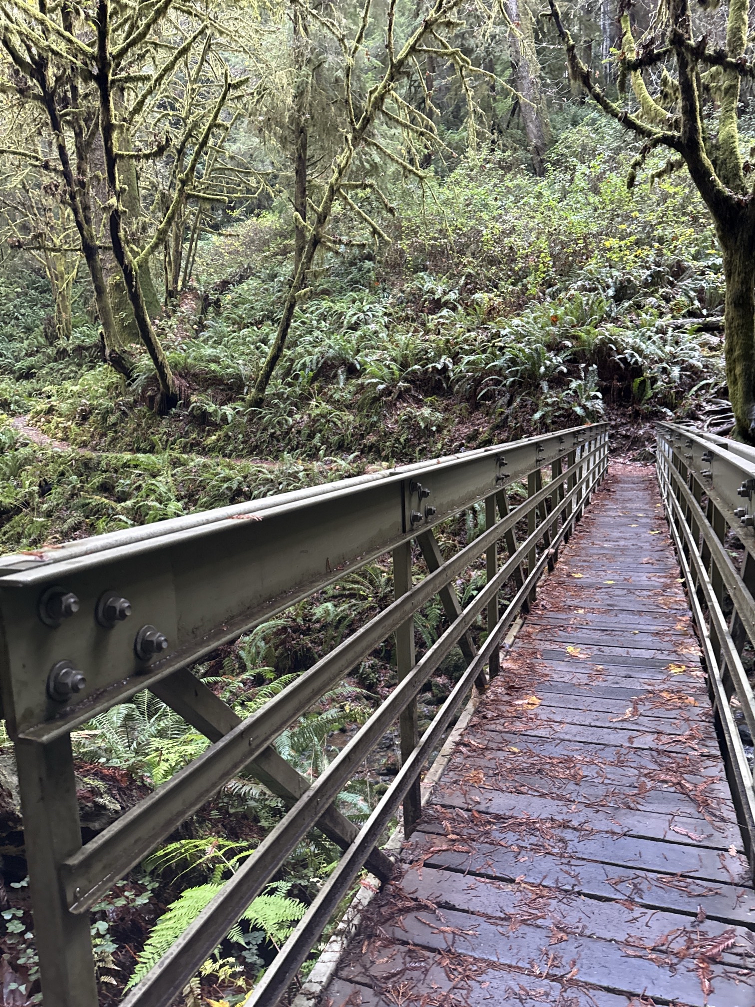 Trillium Falls