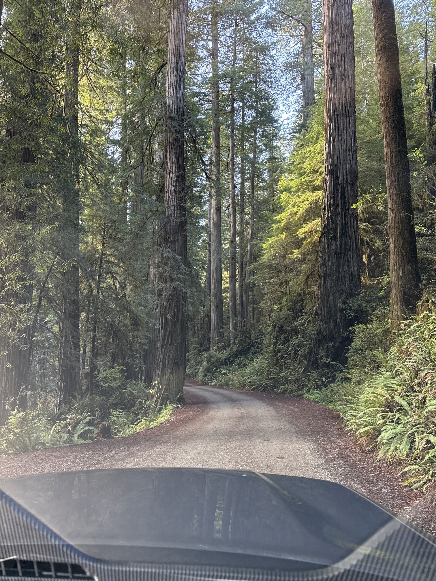 Howland Hill Road
