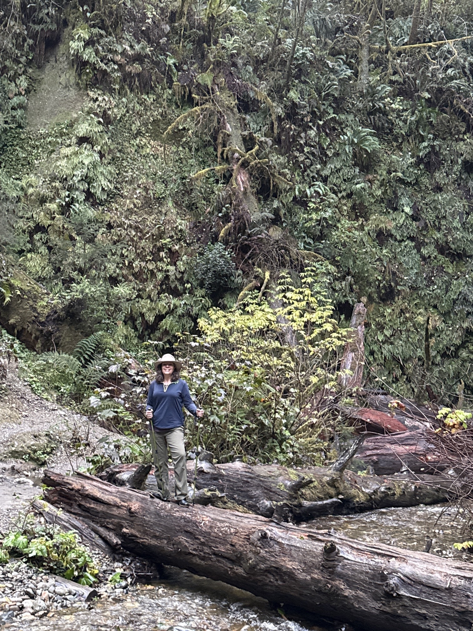 Fern Canyon