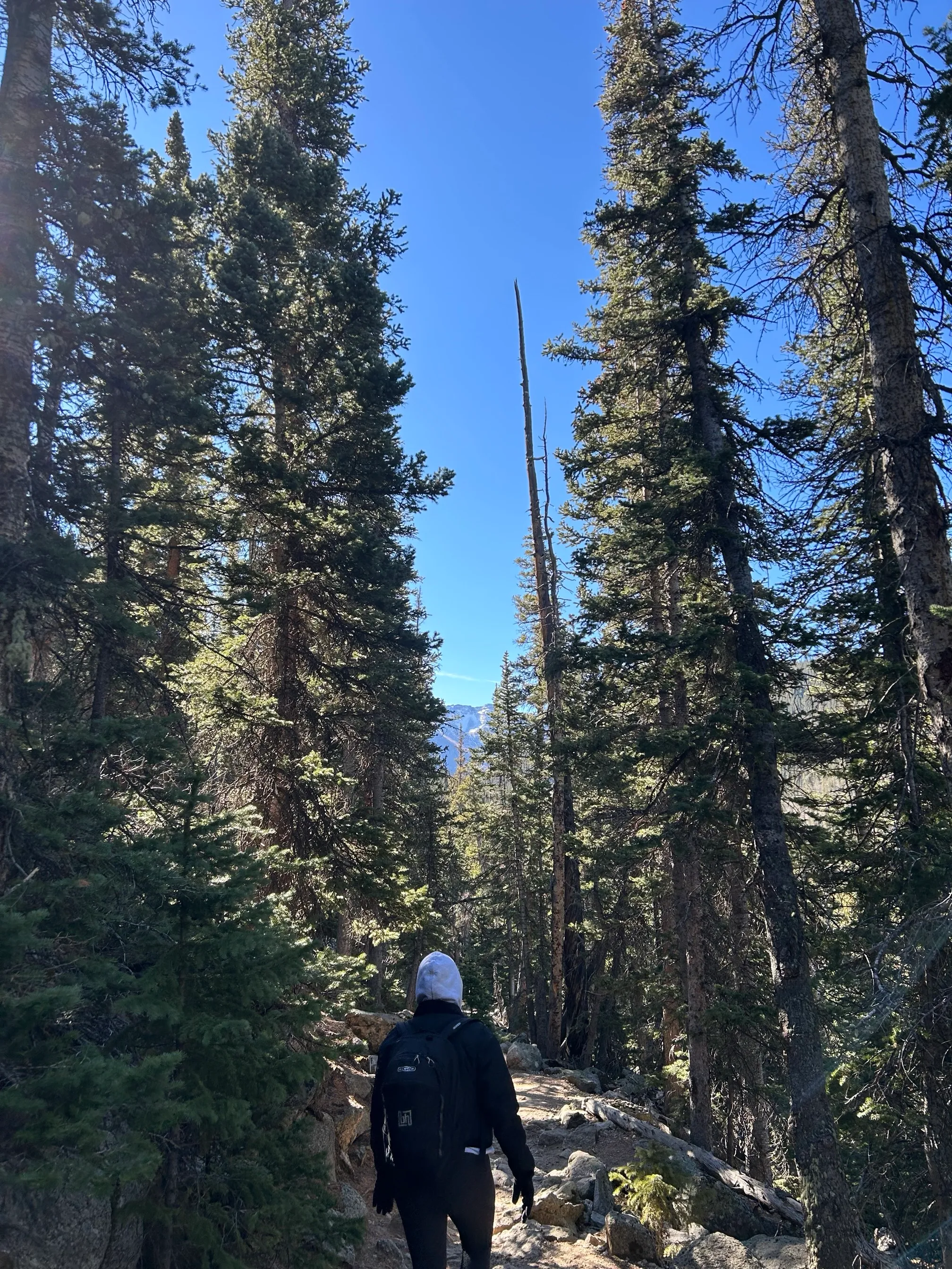 Summit Lake to Upper Chicago Lake via Chicago Lakes Trail