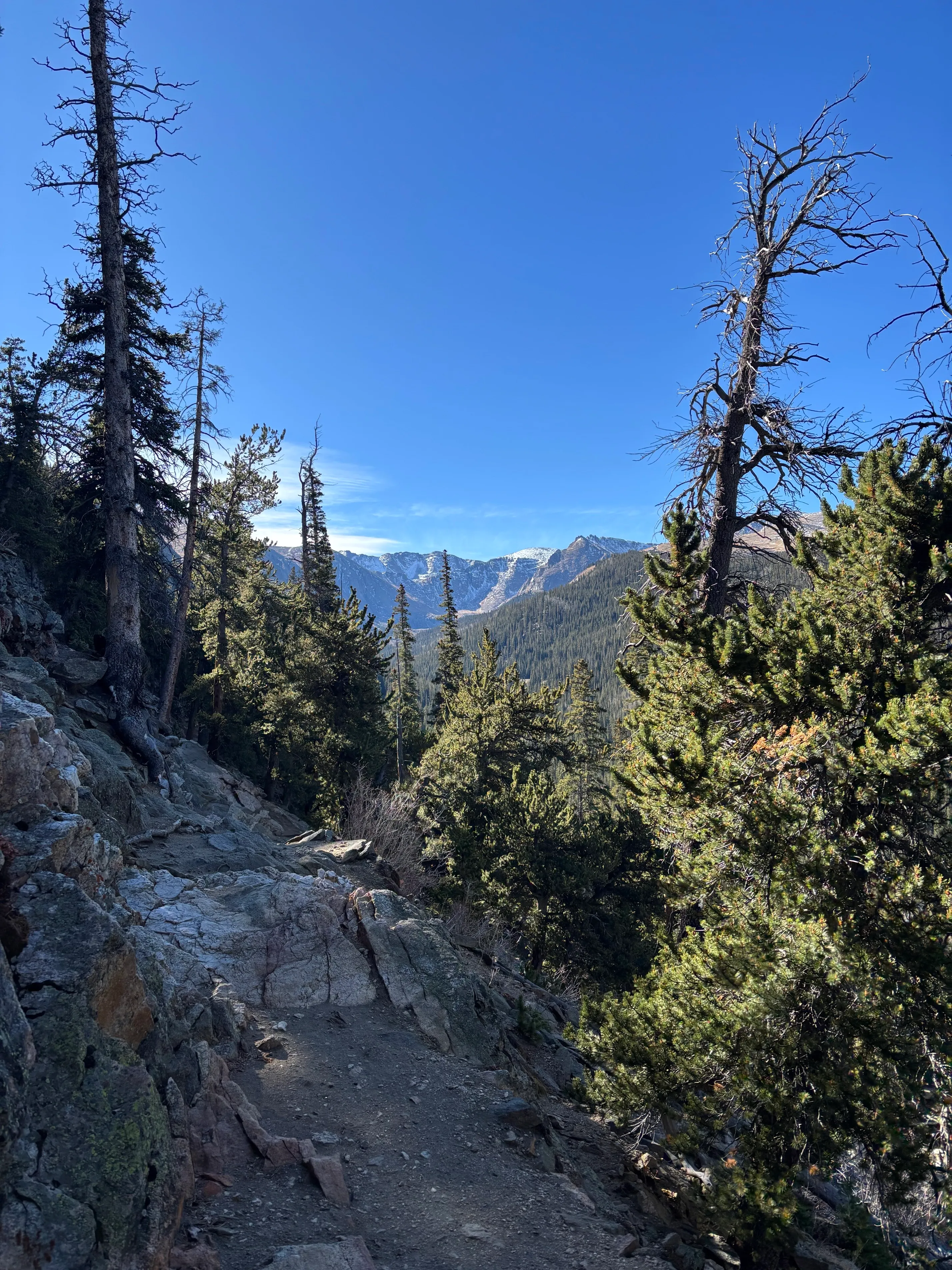 Summit Lake to Upper Chicago Lake via Chicago Lakes Trail