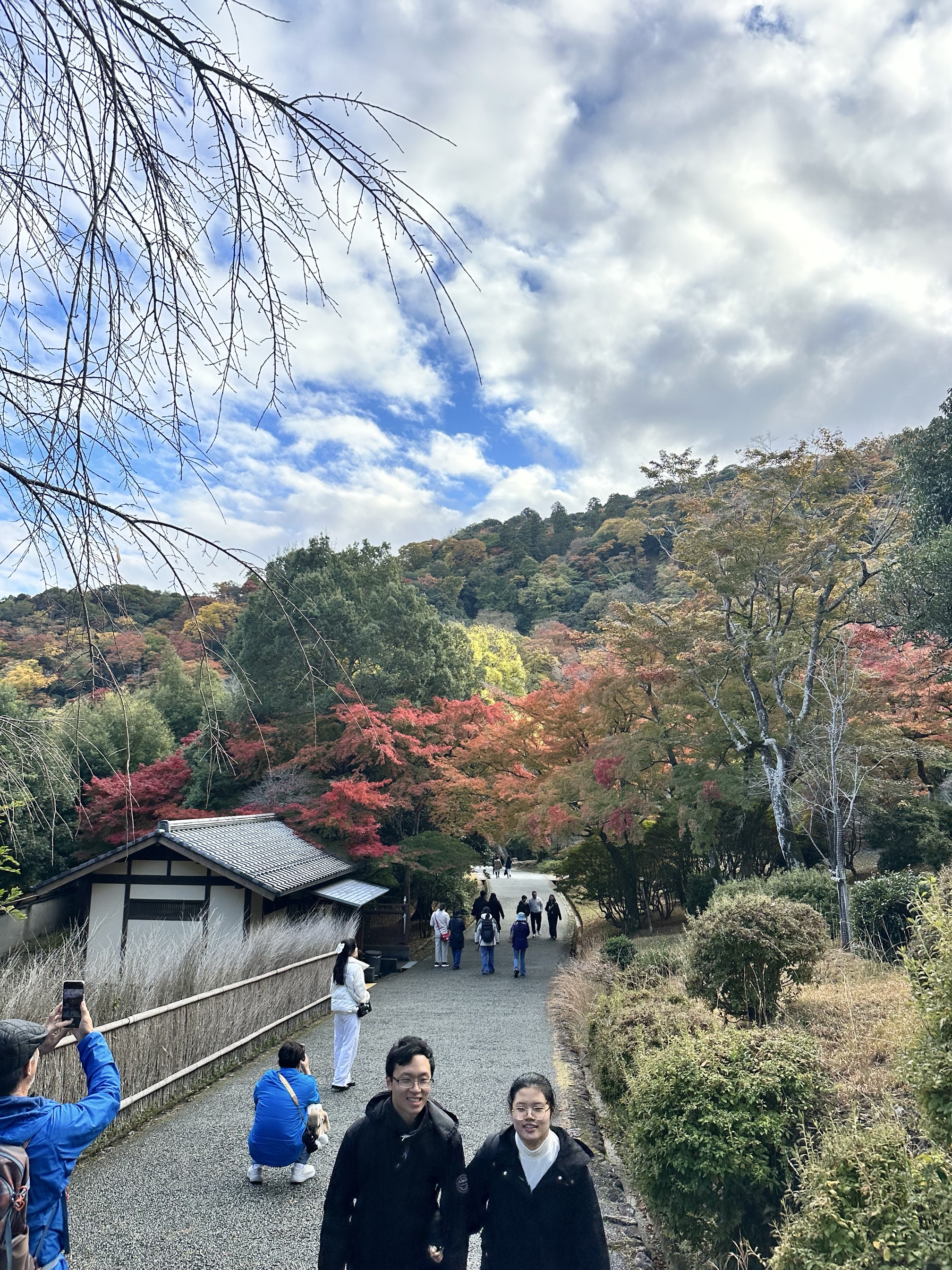 Explore the Sagano Bamboo Forest