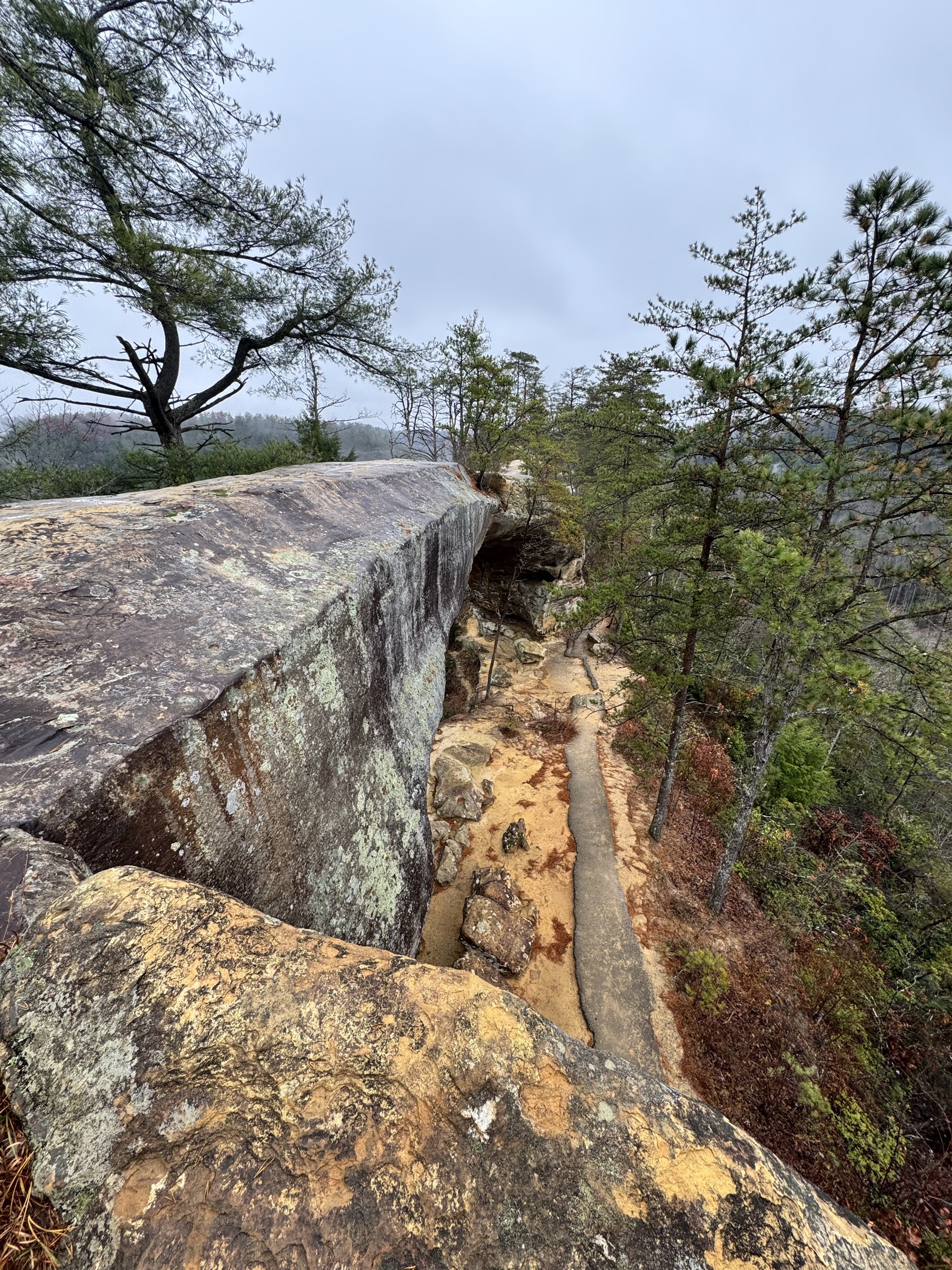 Sky Bridge Loop