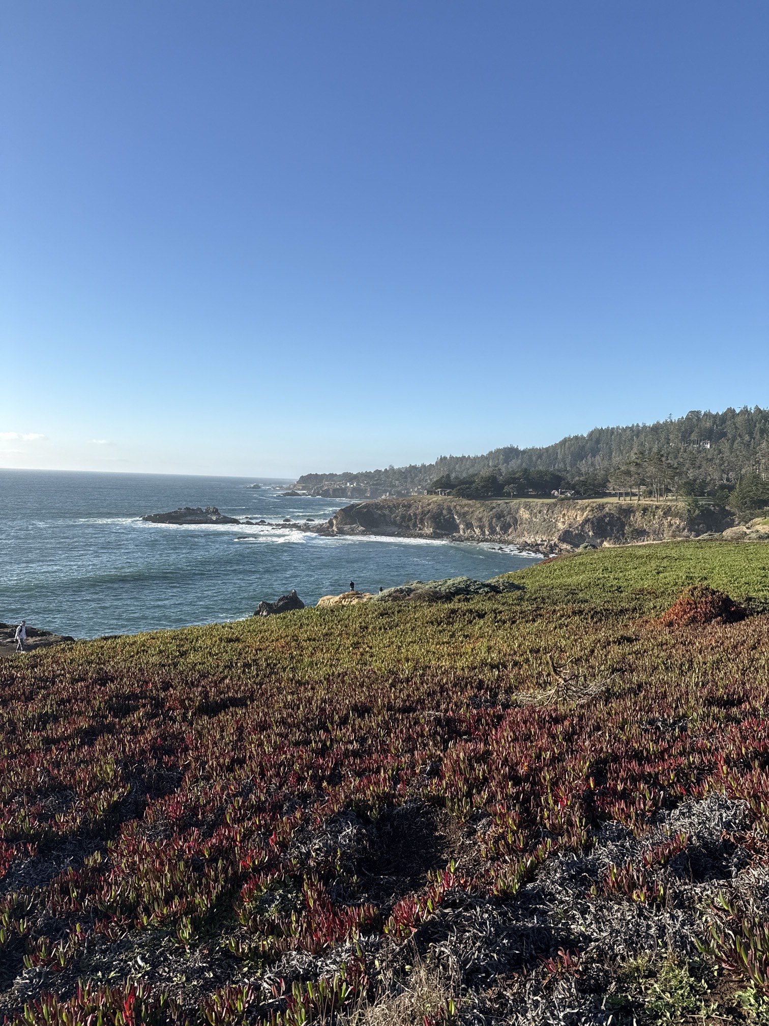 Timber Cove Coastal Trails & Bufano Peace Obelisk