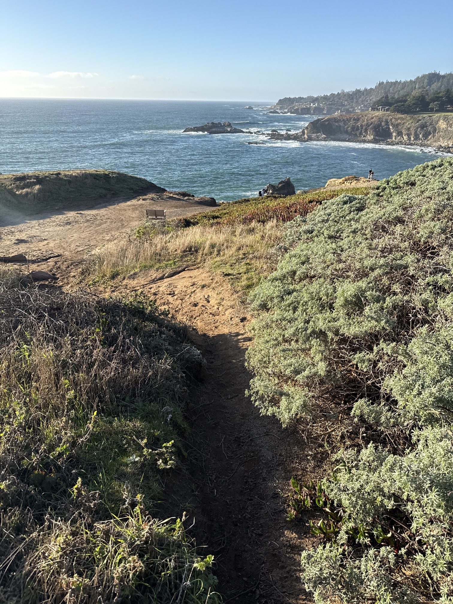 Timber Cove Coastal Trails & Bufano Peace Obelisk