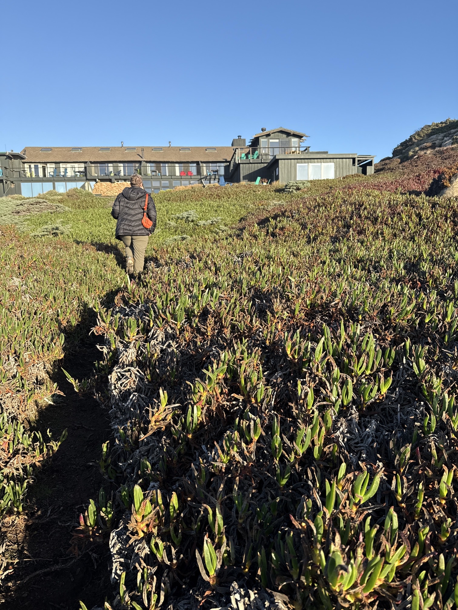Timber Cove Coastal Trails & Bufano Peace Obelisk