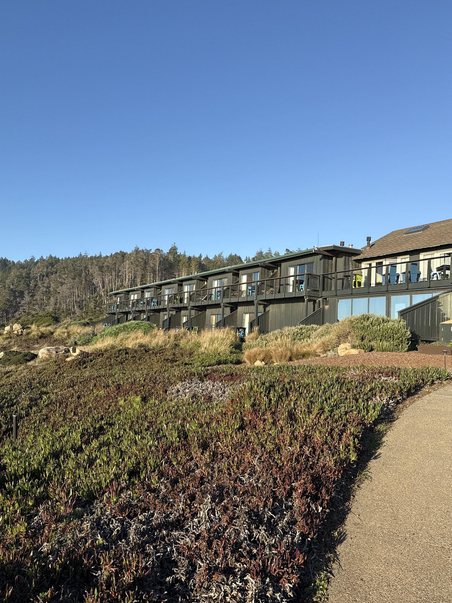 Timber Cove Coastal Trails & Bufano Peace Obelisk
