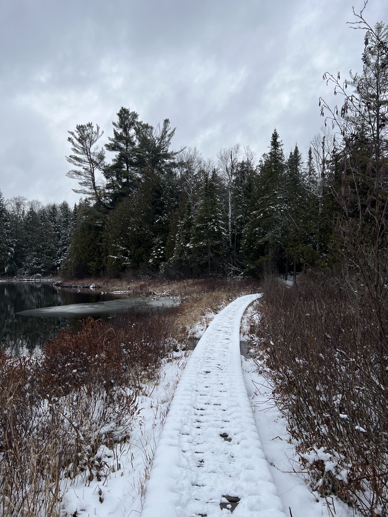 Solitaire Lake Loop