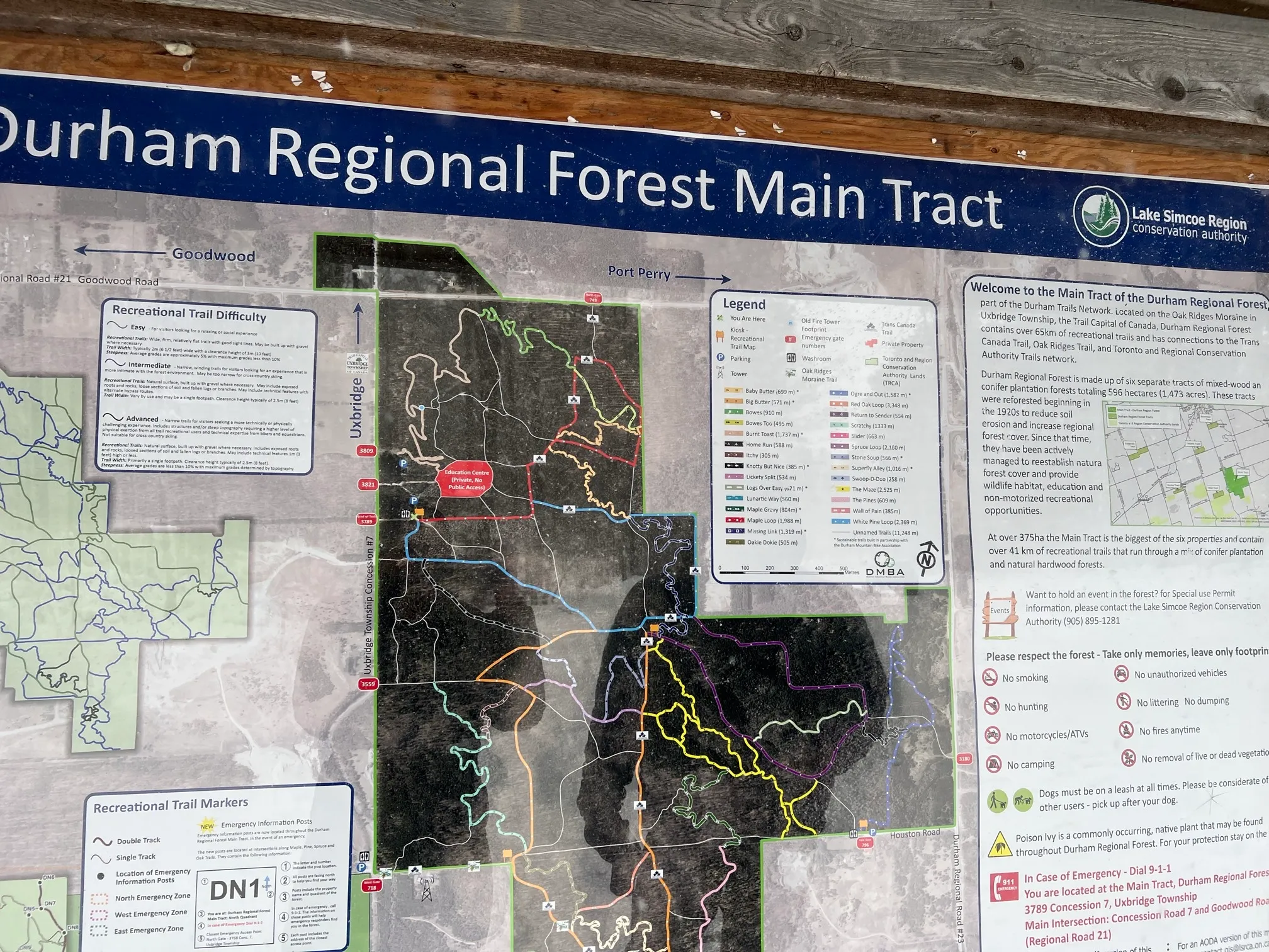 Maple Loop Trail