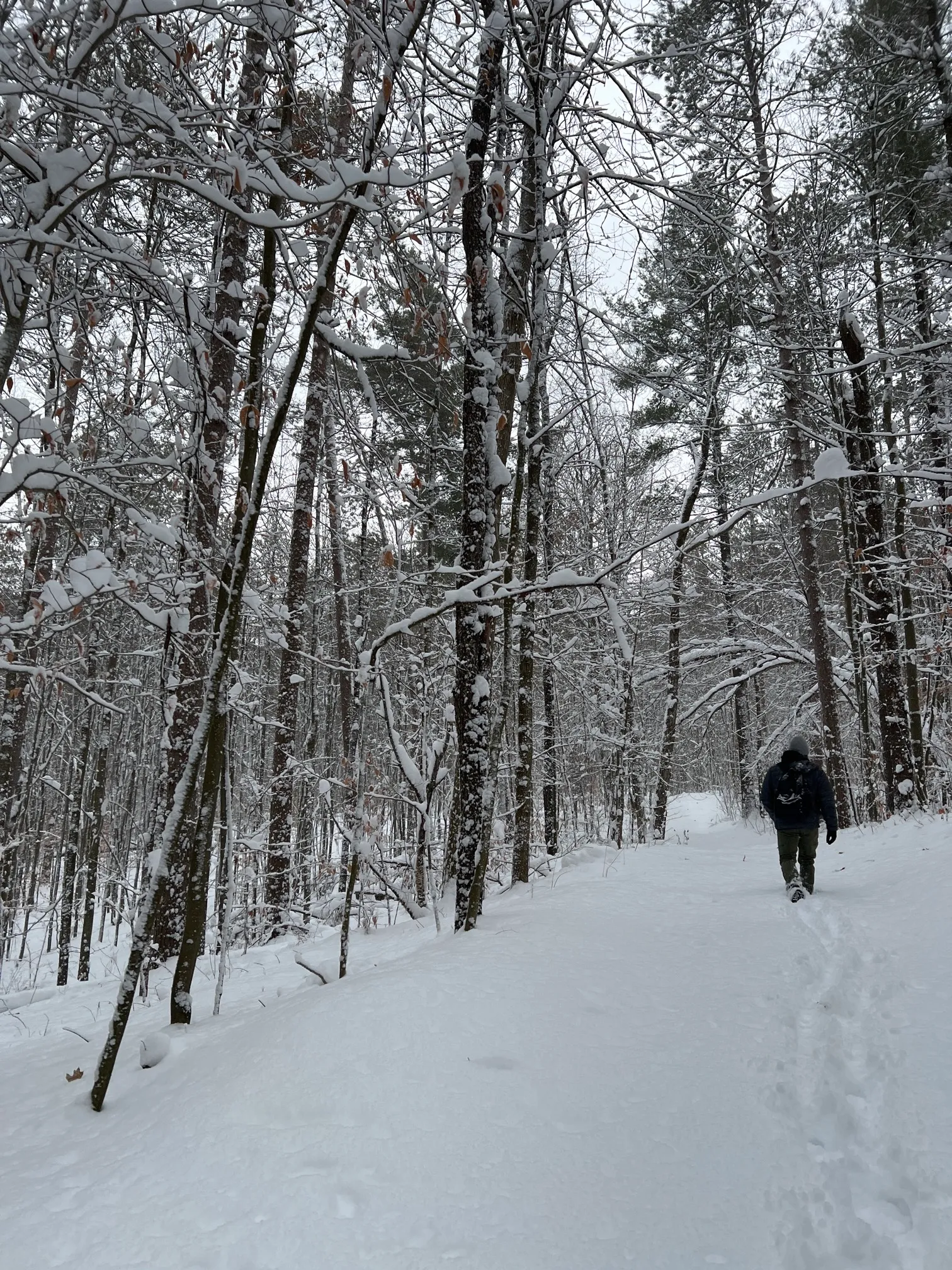 Maple Loop Trail