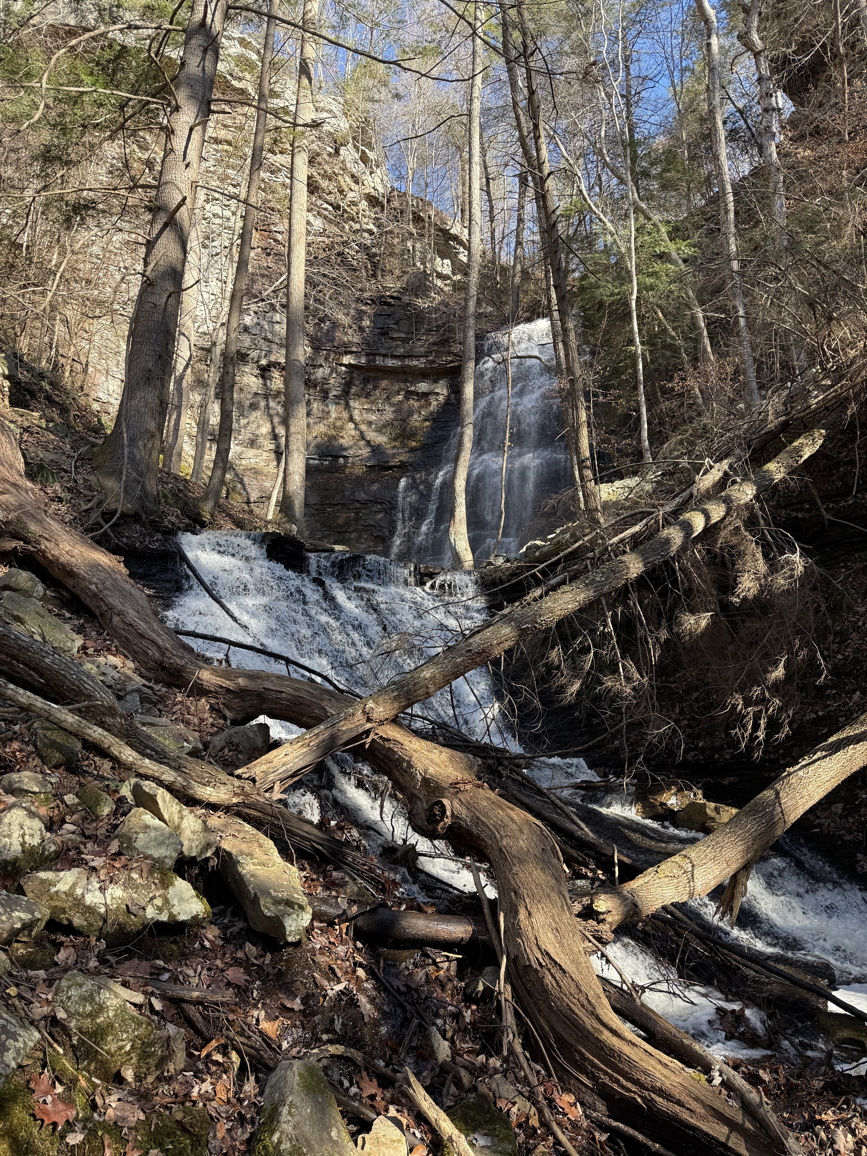Denny Cove Waterfall Trail