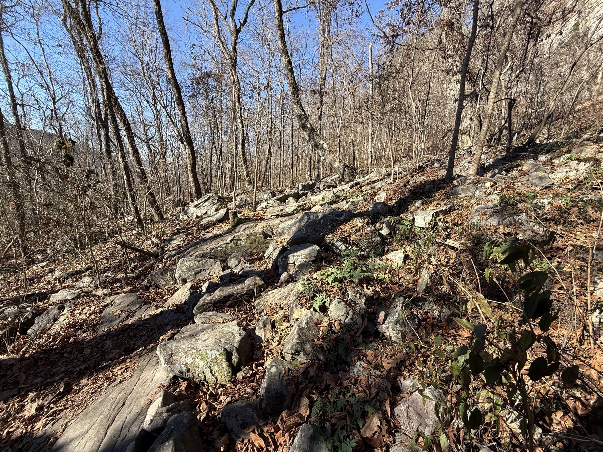 Denny Cove Waterfall Trail