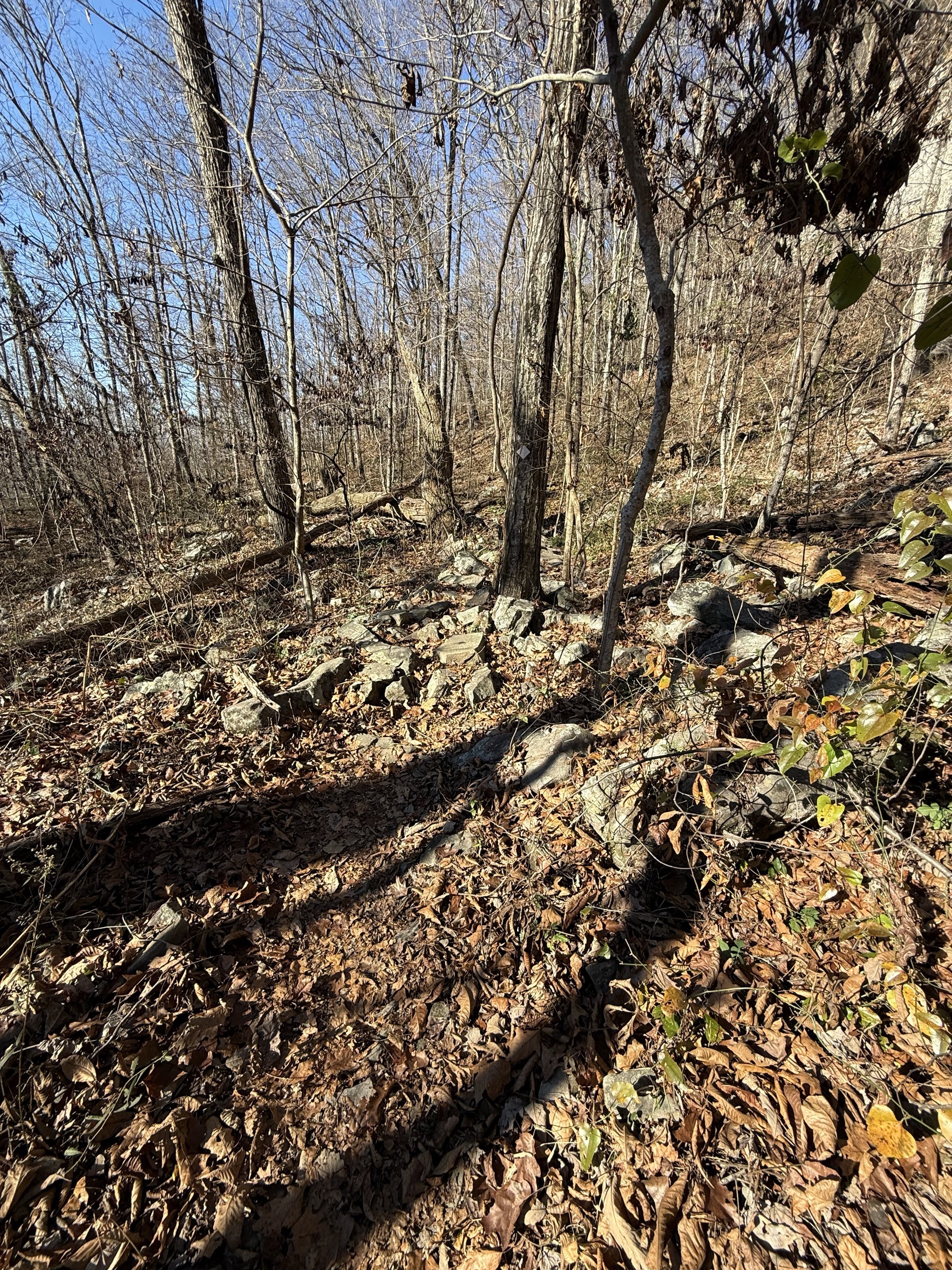 Denny Cove Waterfall Trail