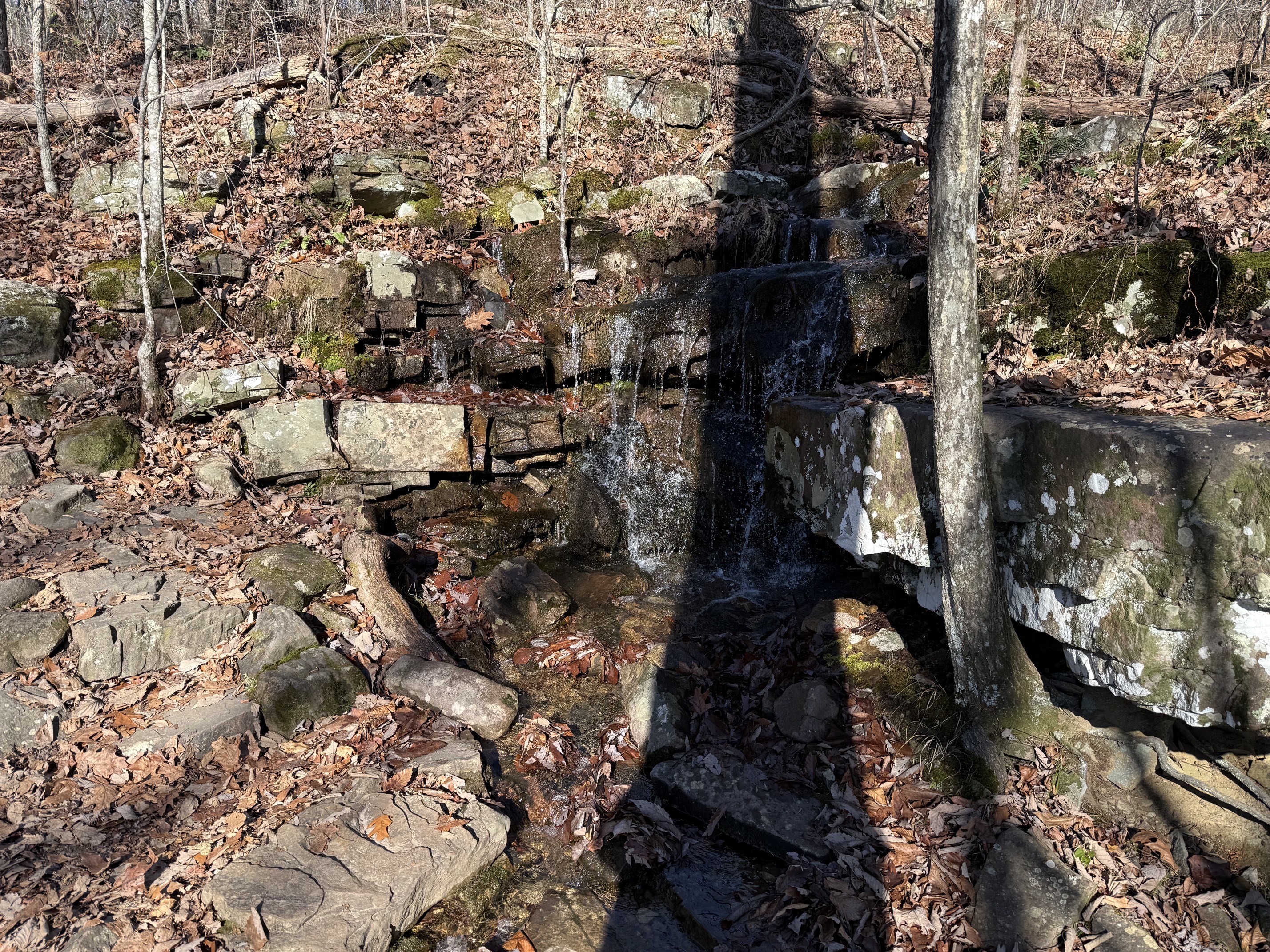Denny Cove Waterfall Trail