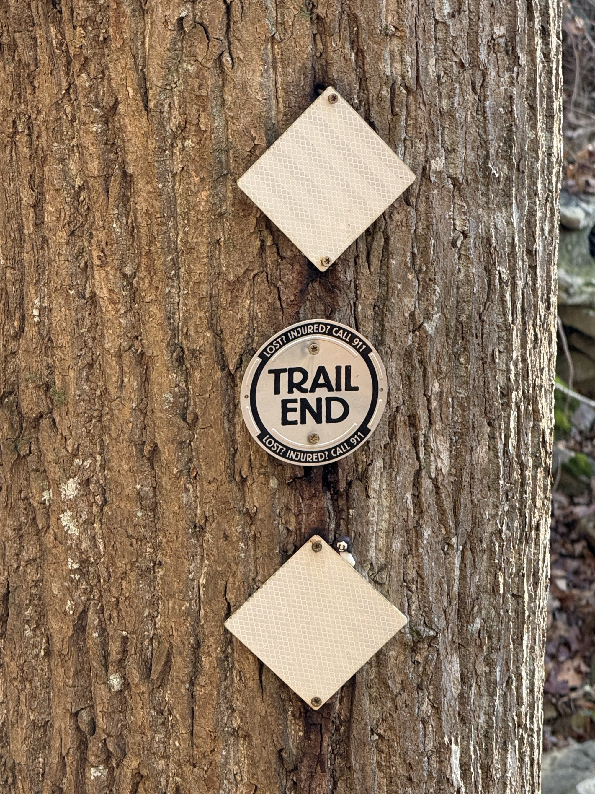 Denny Cove Waterfall Trail