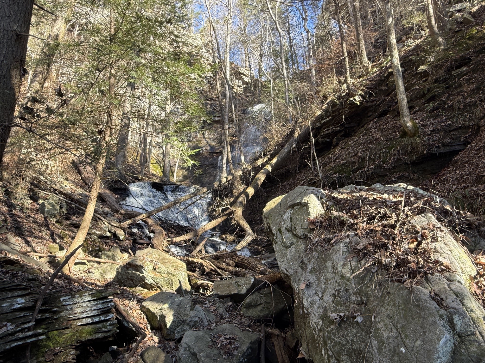 Denny Cove Waterfall Trail