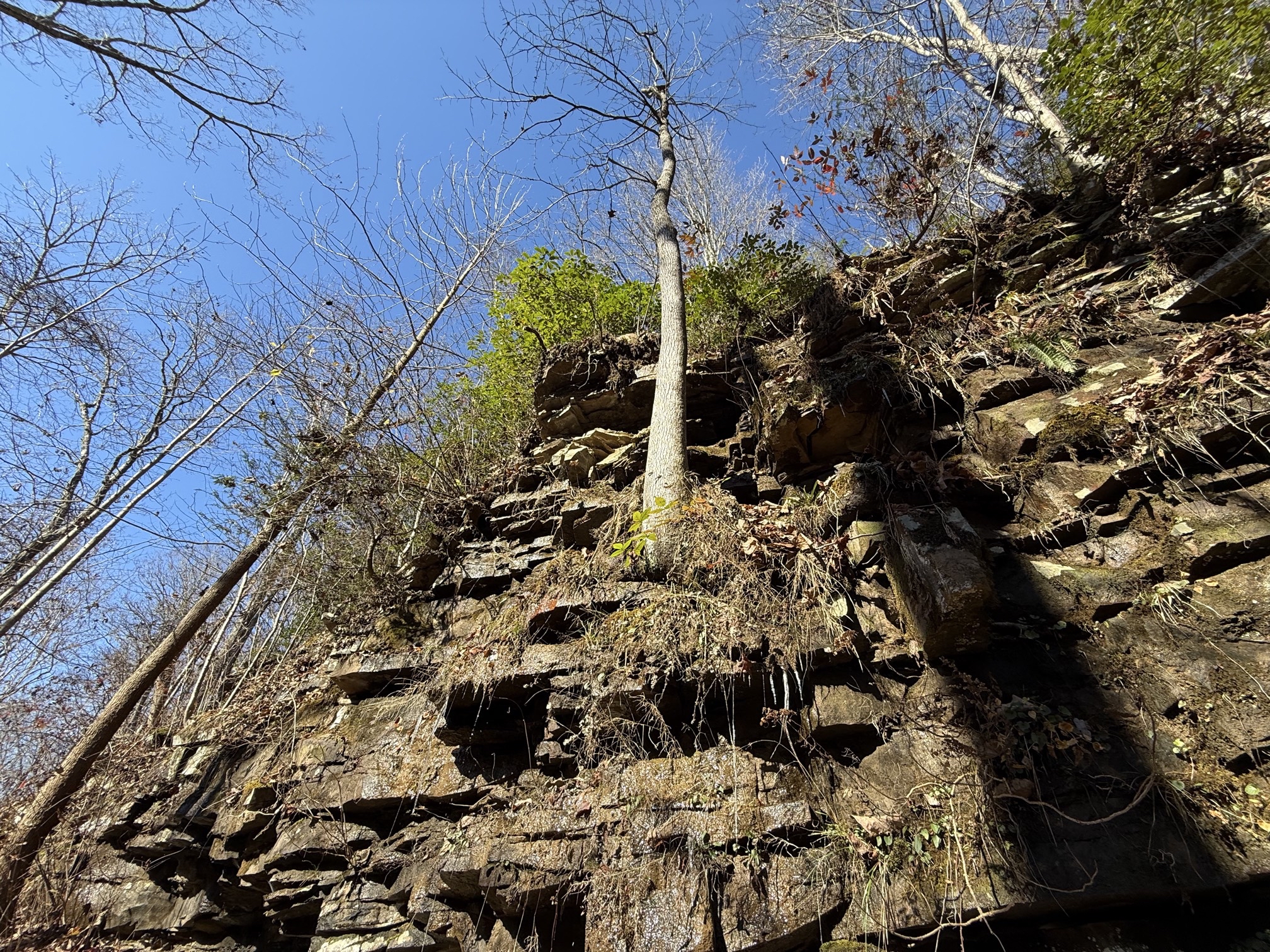 Denny Cove Waterfall Trail