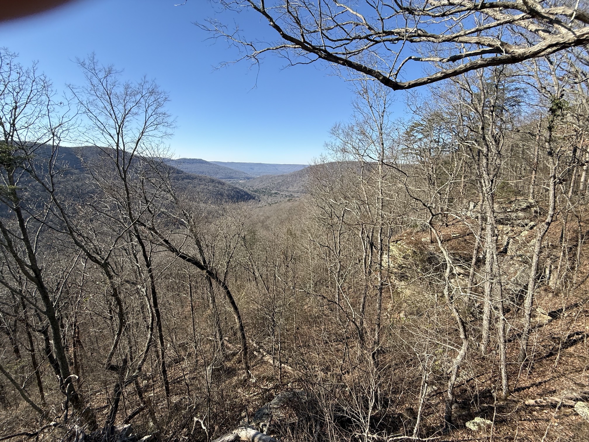 Denny Cove Waterfall Trail
