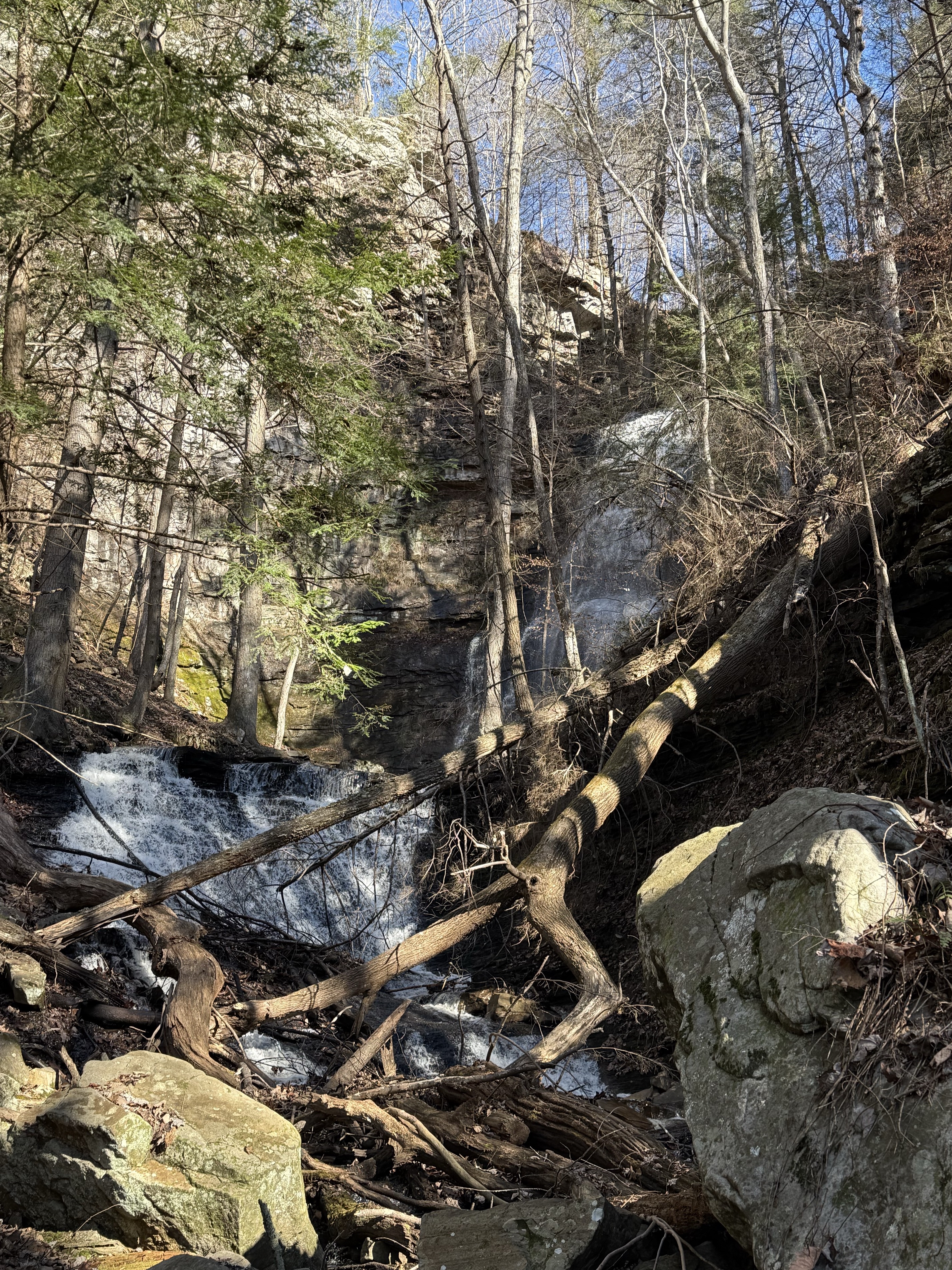 Denny Cove Waterfall Trail