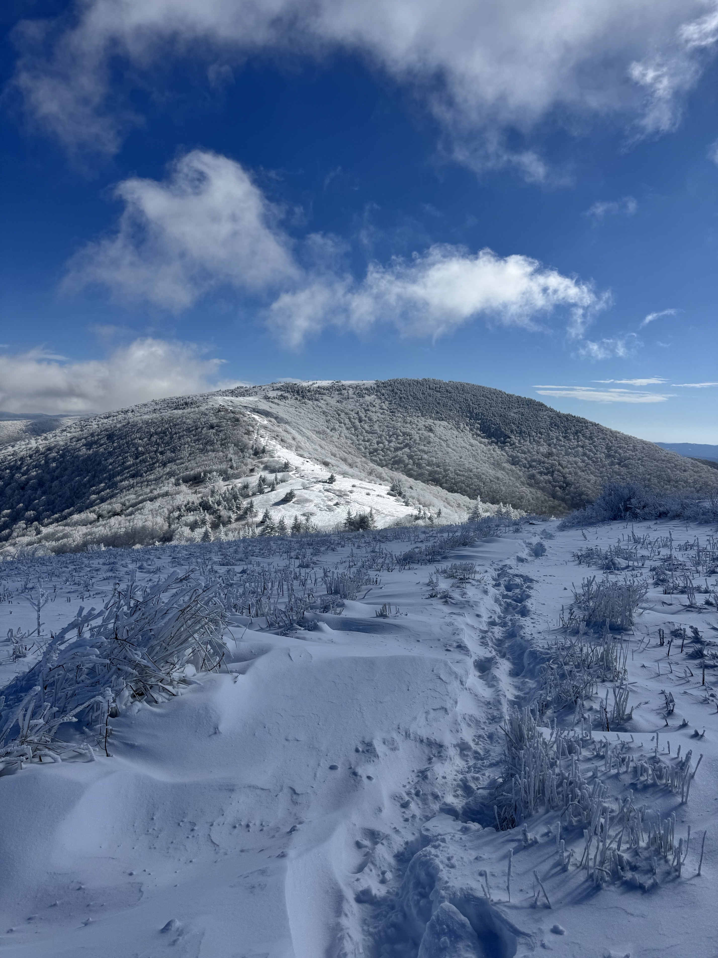 Jane Bald via Appalachian Trail