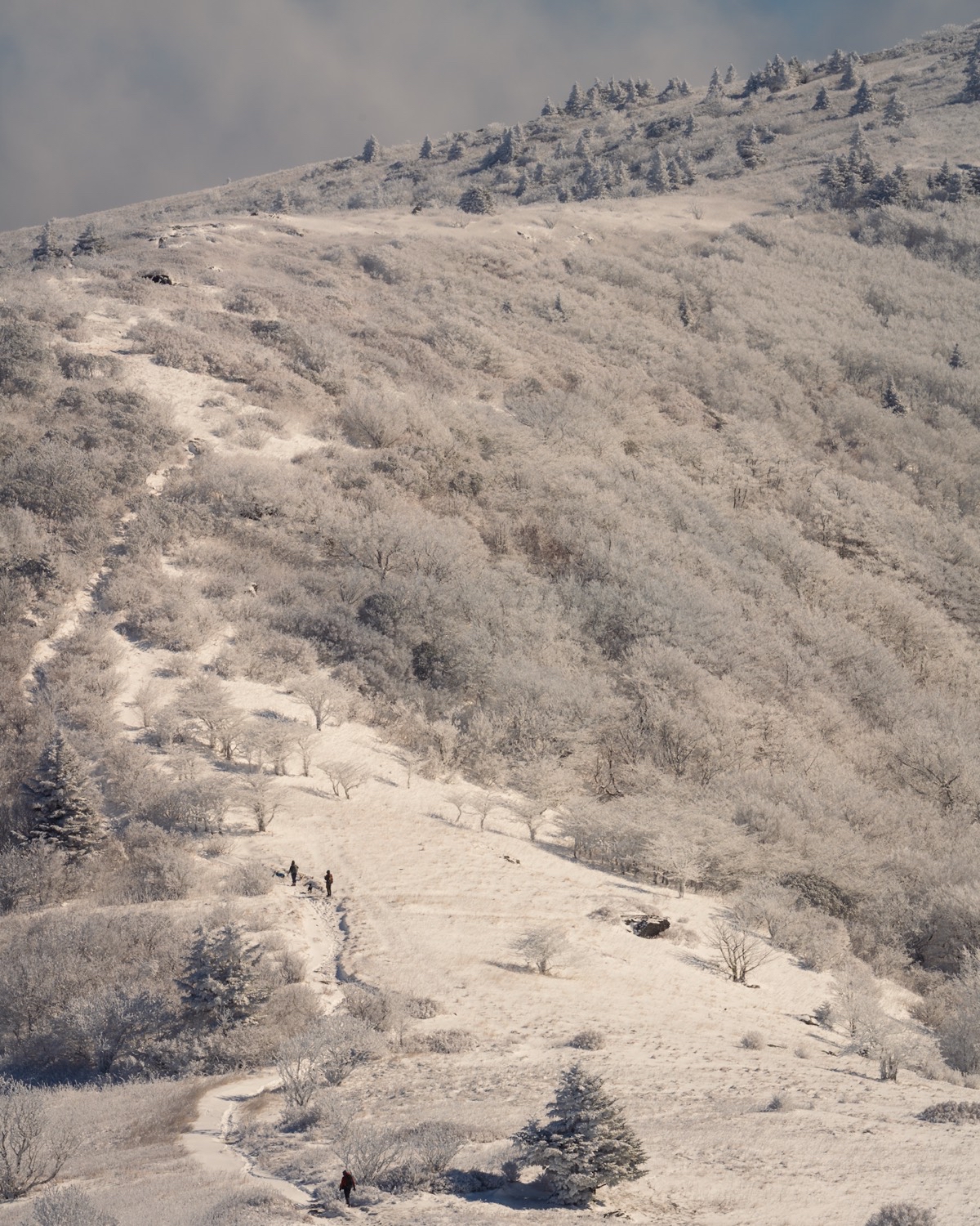 Jane Bald via Appalachian Trail