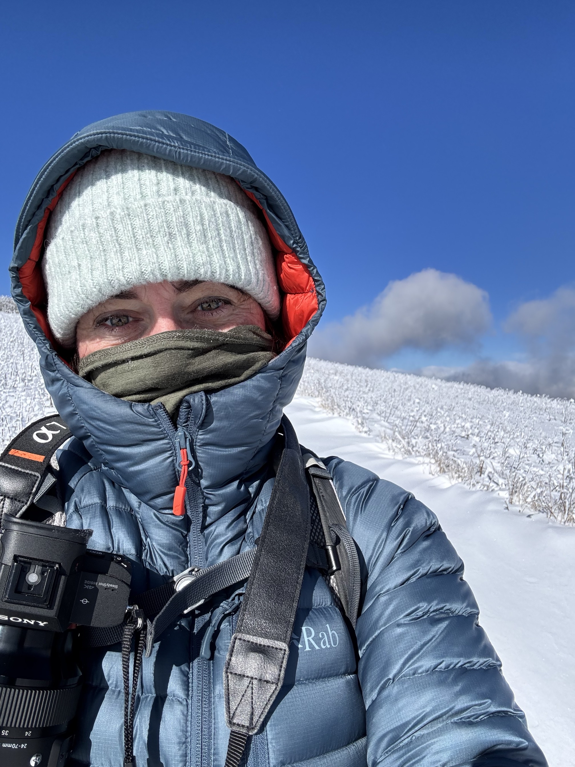 Jane Bald via Appalachian Trail