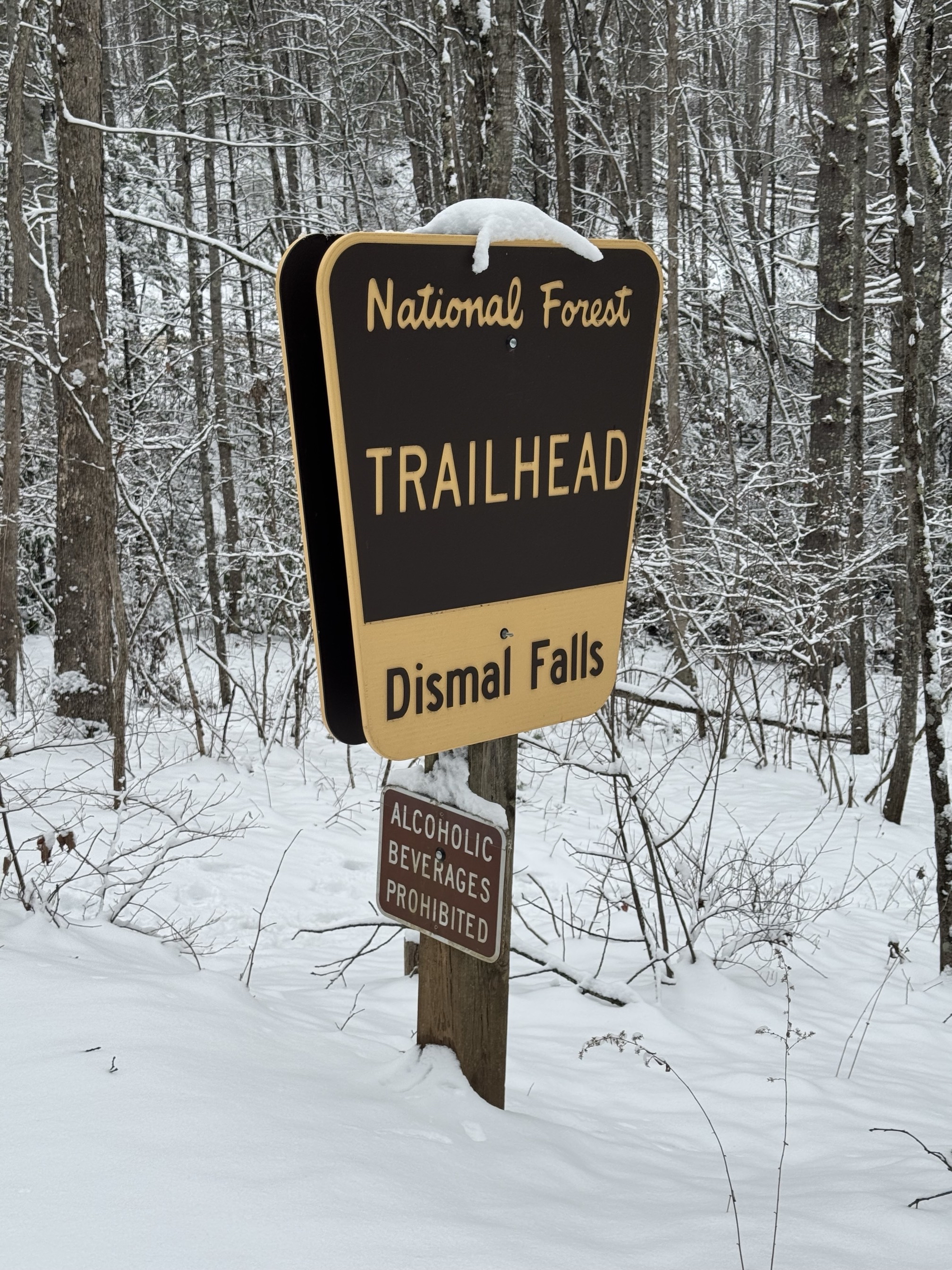 Photograph Dismal Falls 