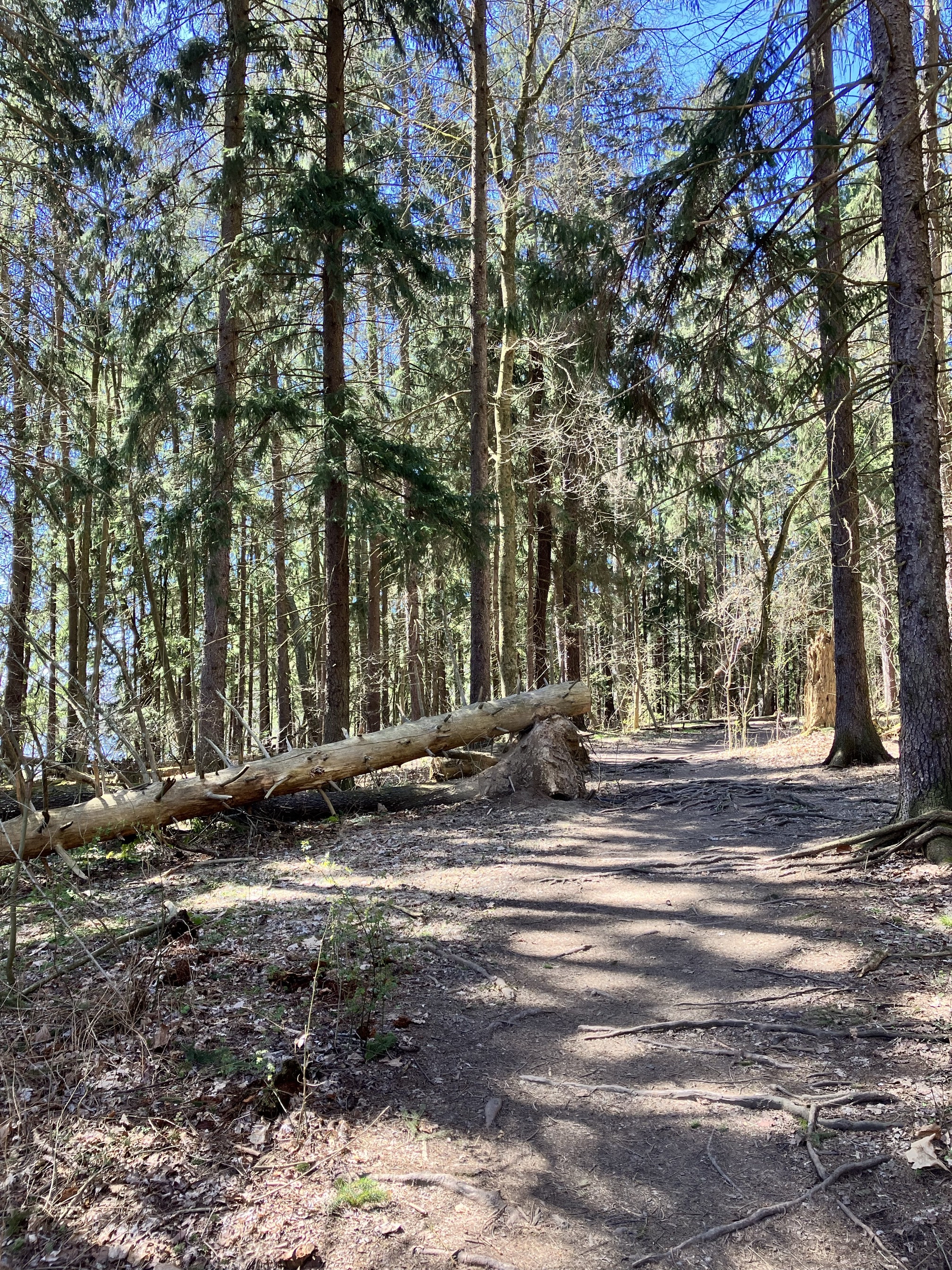 Peters Lake Loop