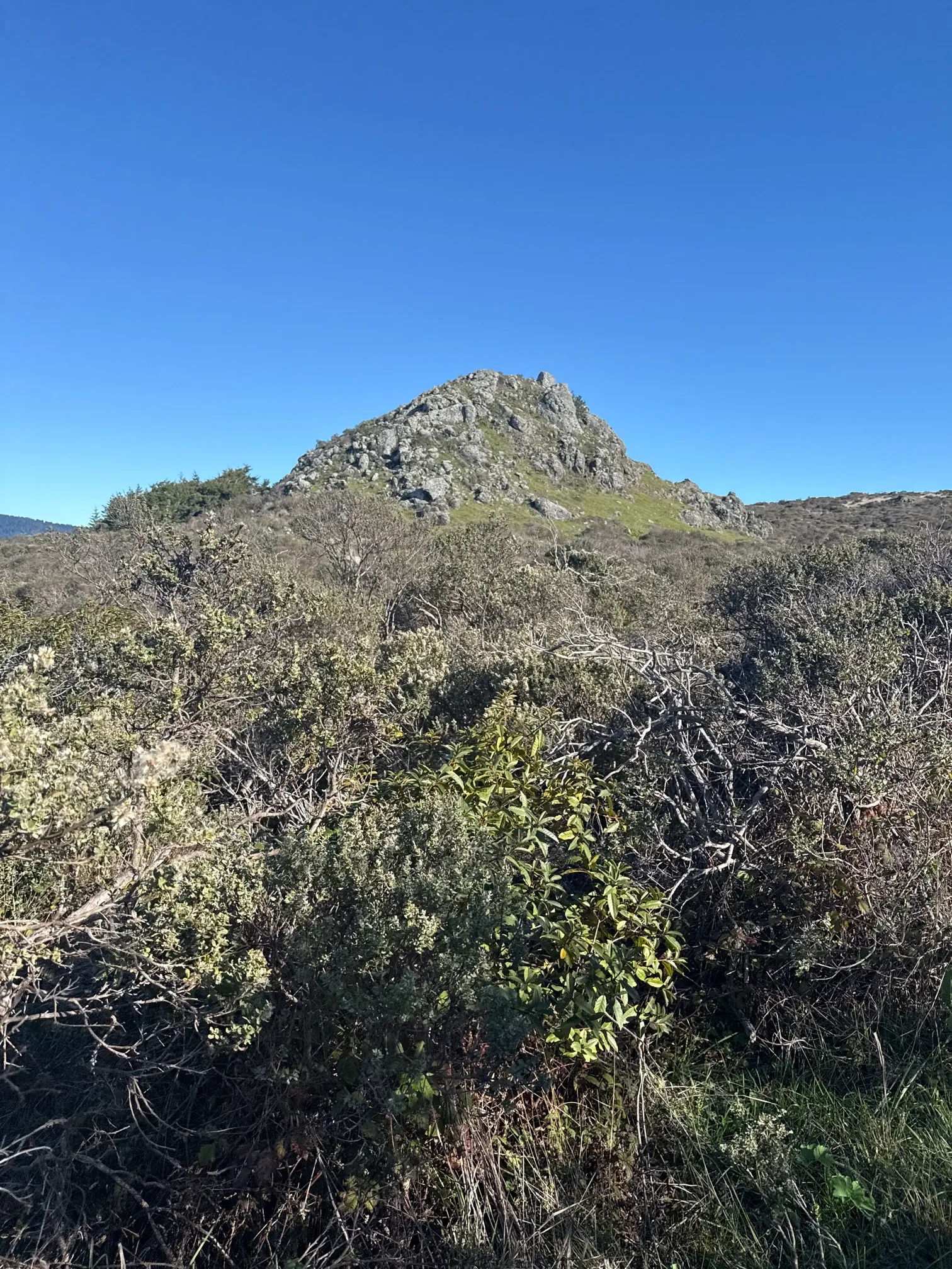 Red Hill and Pomo Canyon Loop