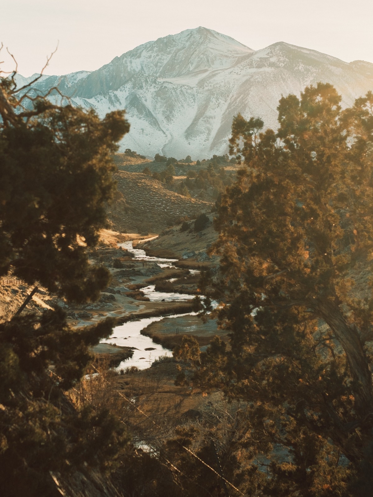 Brees Lookout