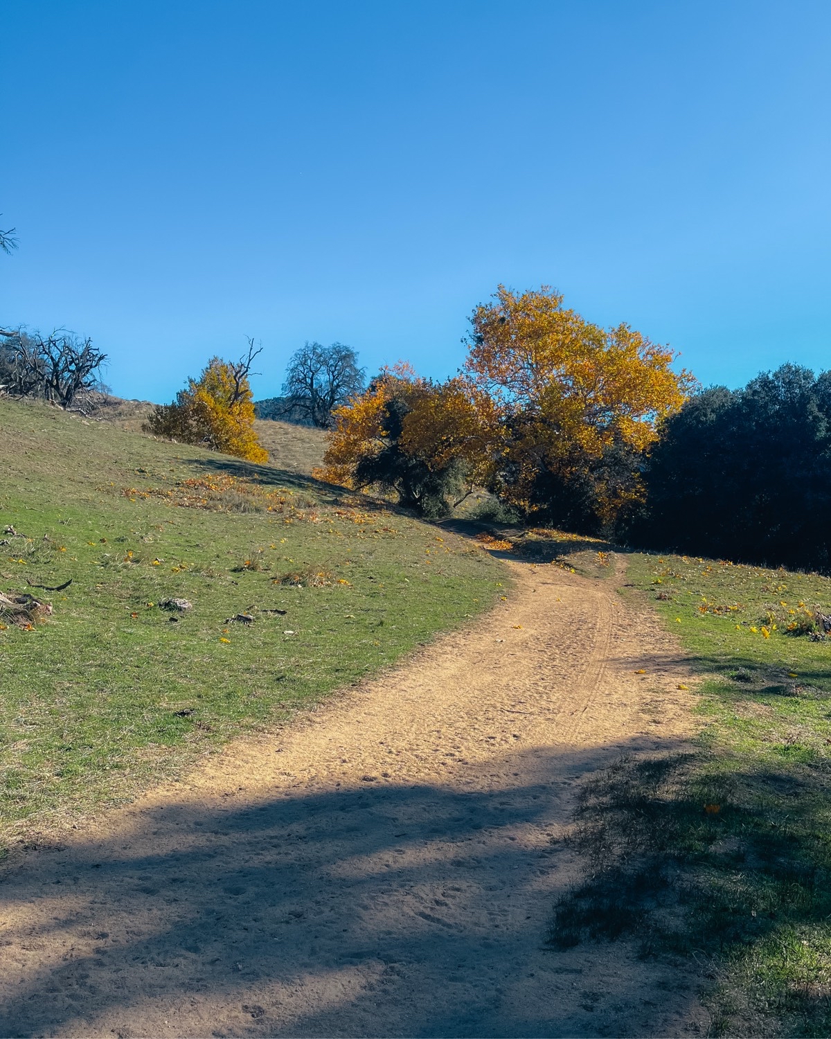 Upper Santa Ysabel Creek Trail