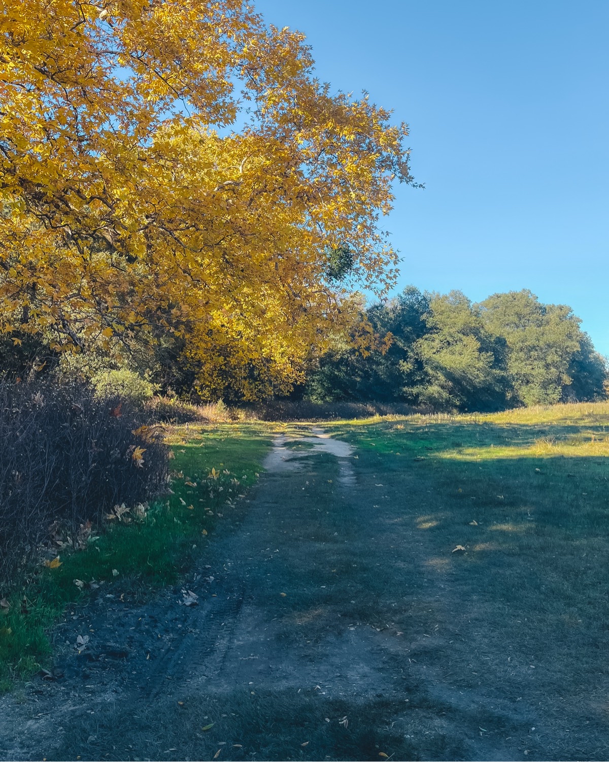 Upper Santa Ysabel Creek Trail